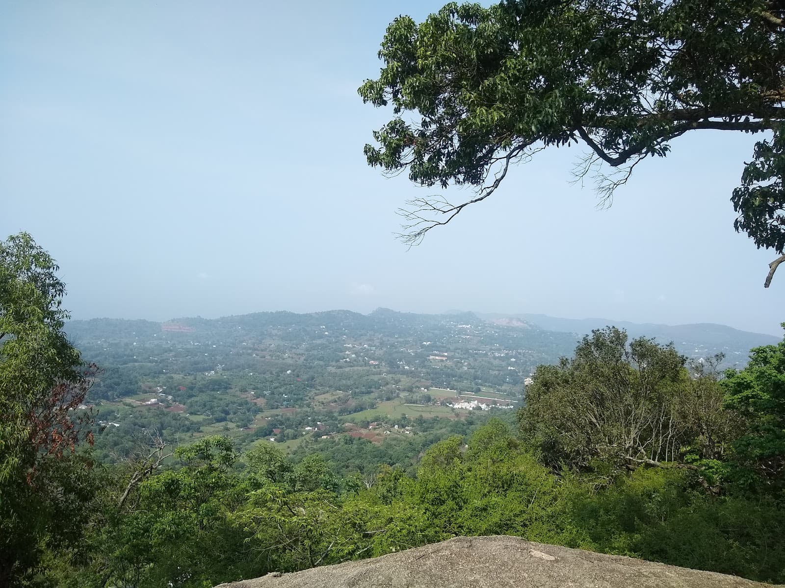 Swamimalai Trek (Yelagiri) - Image 1