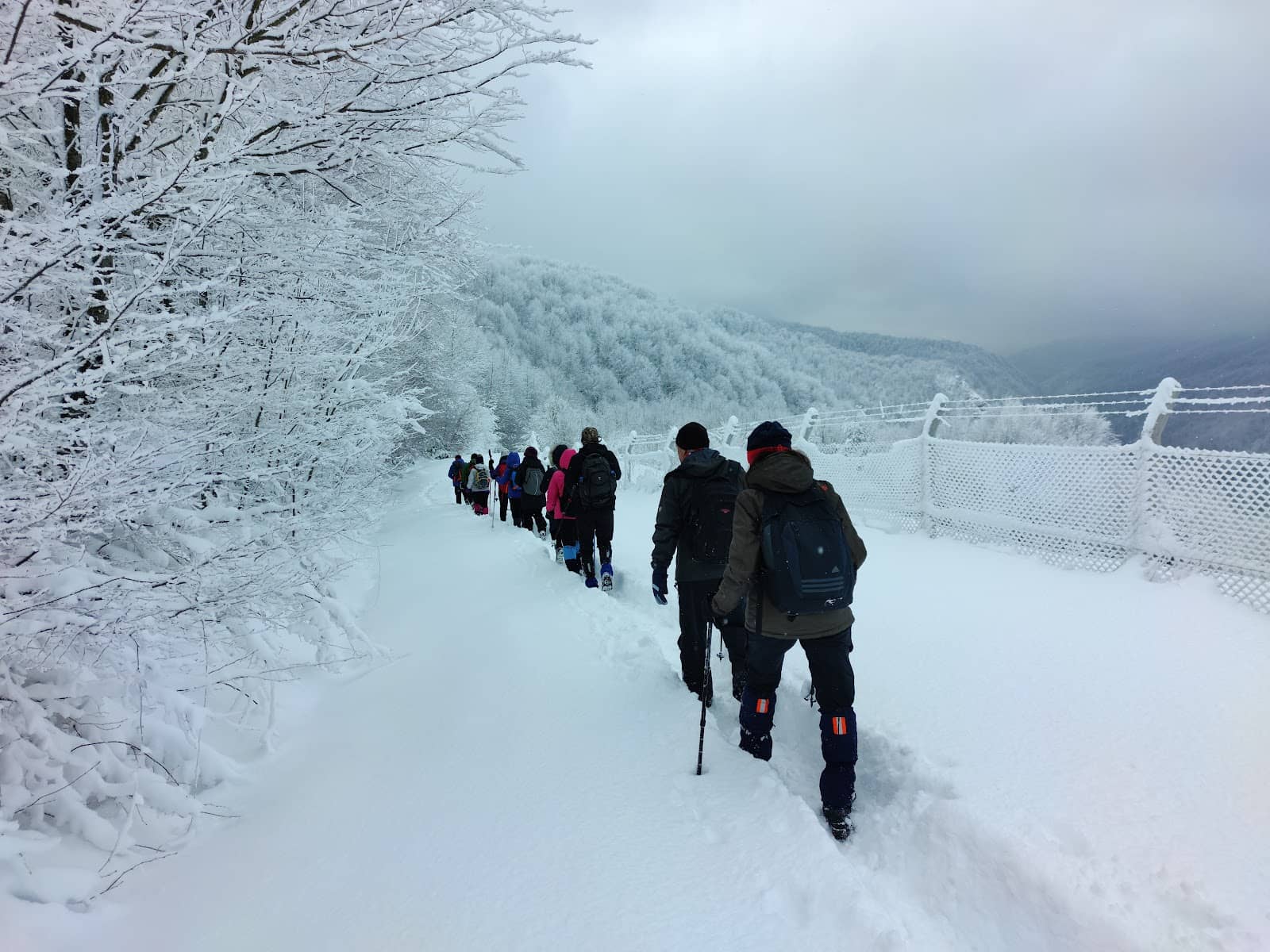 Peaceful Camping Spot