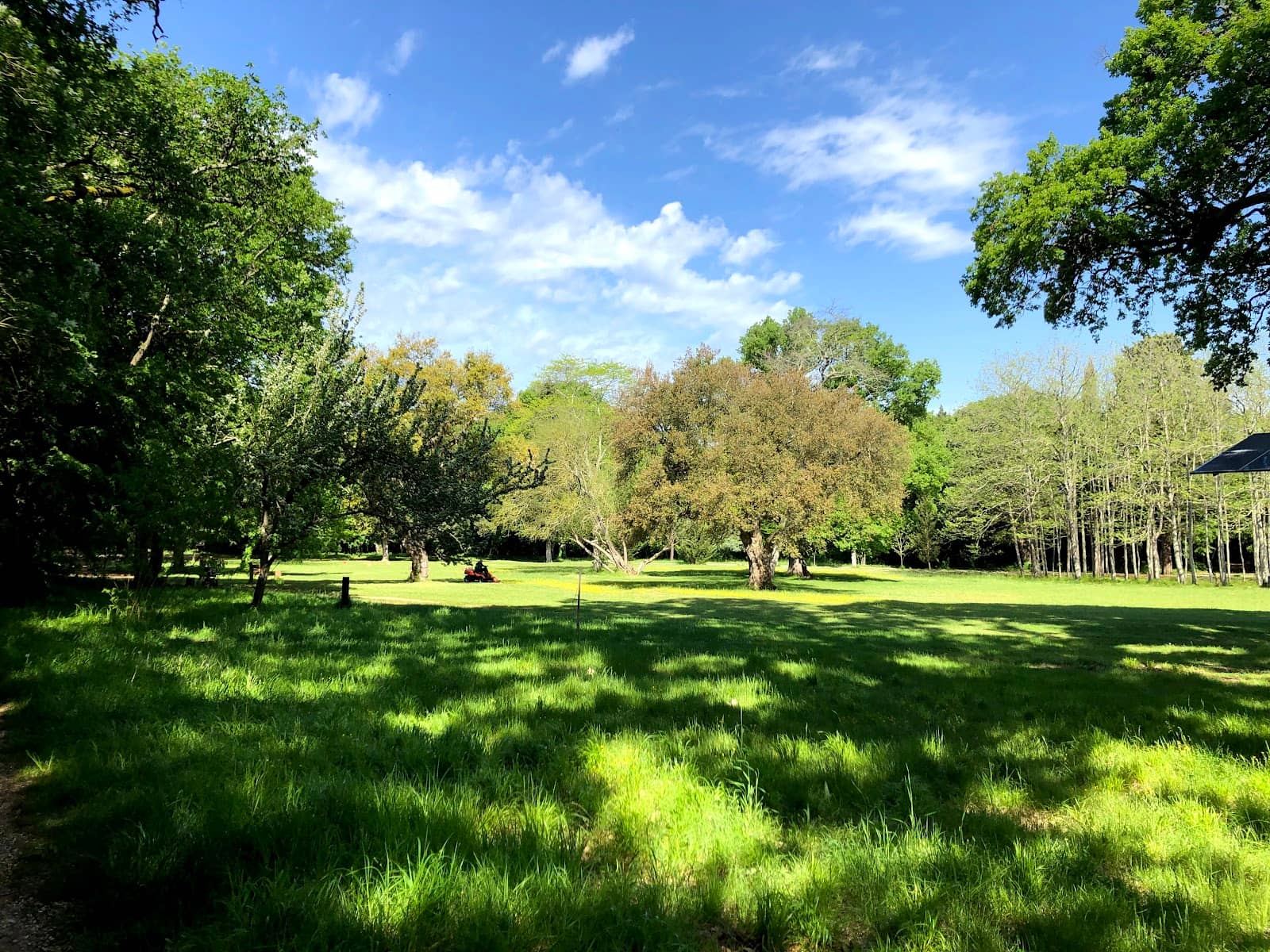 Central Cafe & Picnic Spots