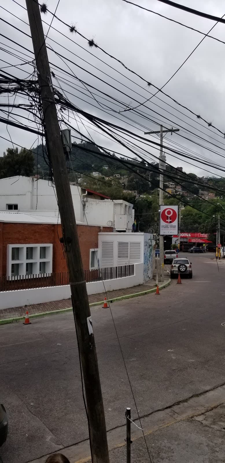 Colonia Palmira - Image 1