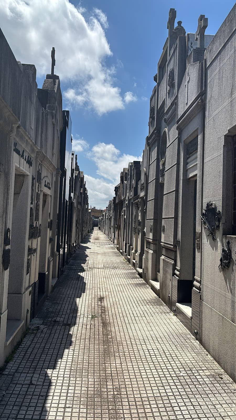Vertical photo