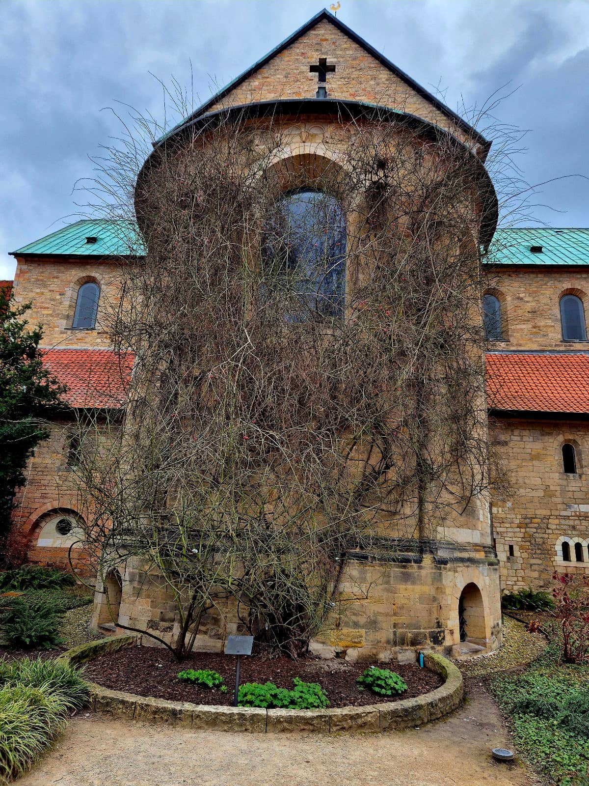 Vertical photo