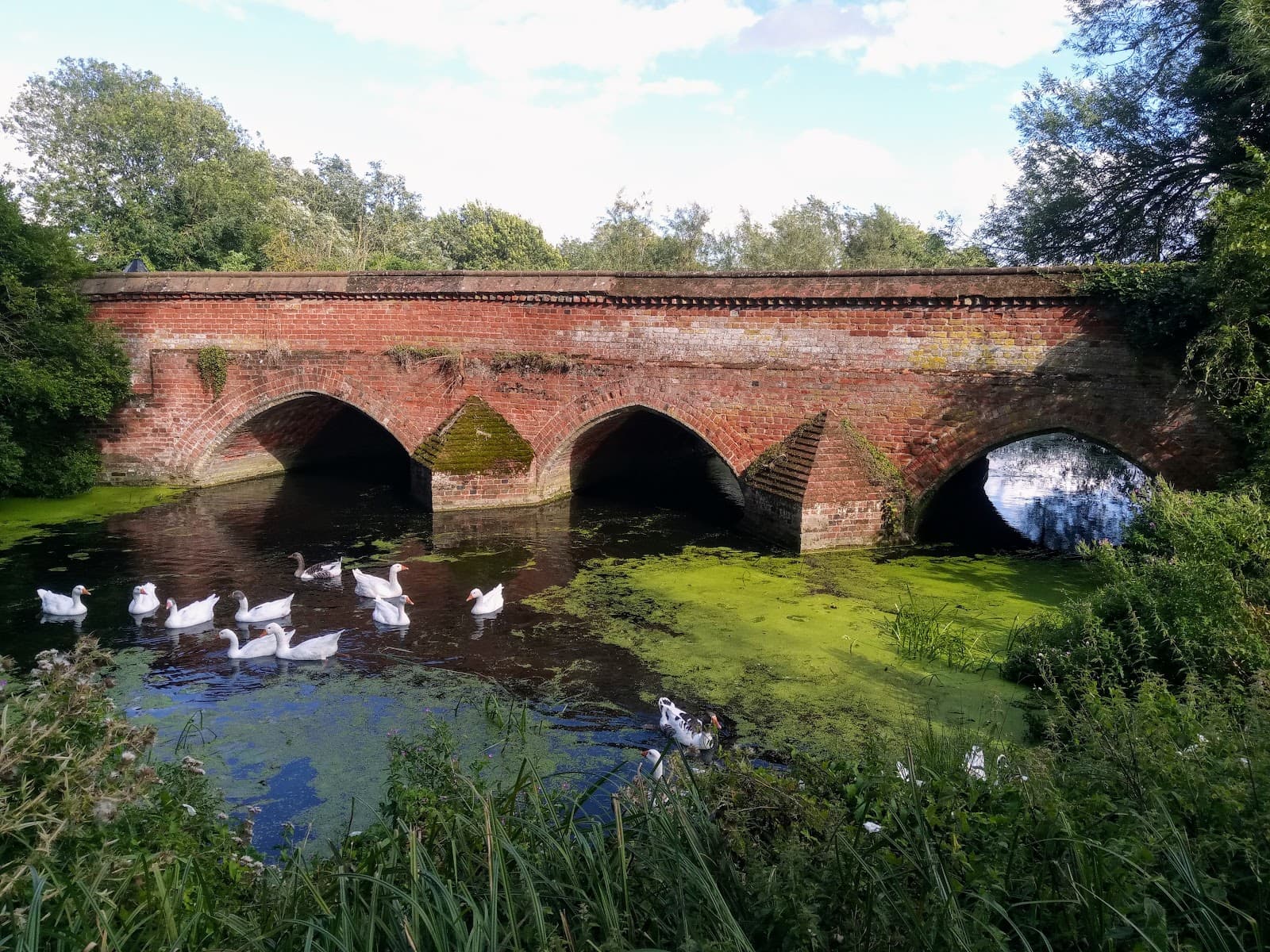 Toppesfield Bridge Hadleigh - Image 1