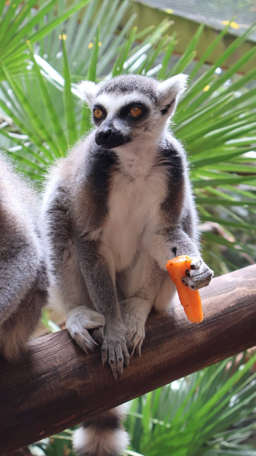 Interactive Keeper Talks