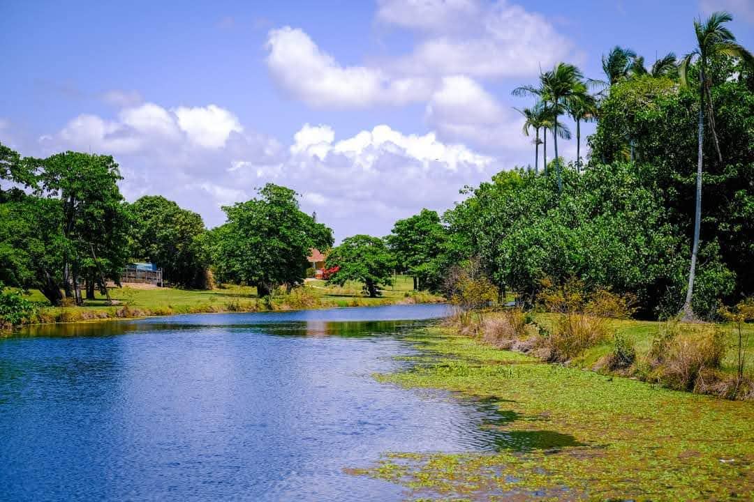 Scenic Lake and Foliage