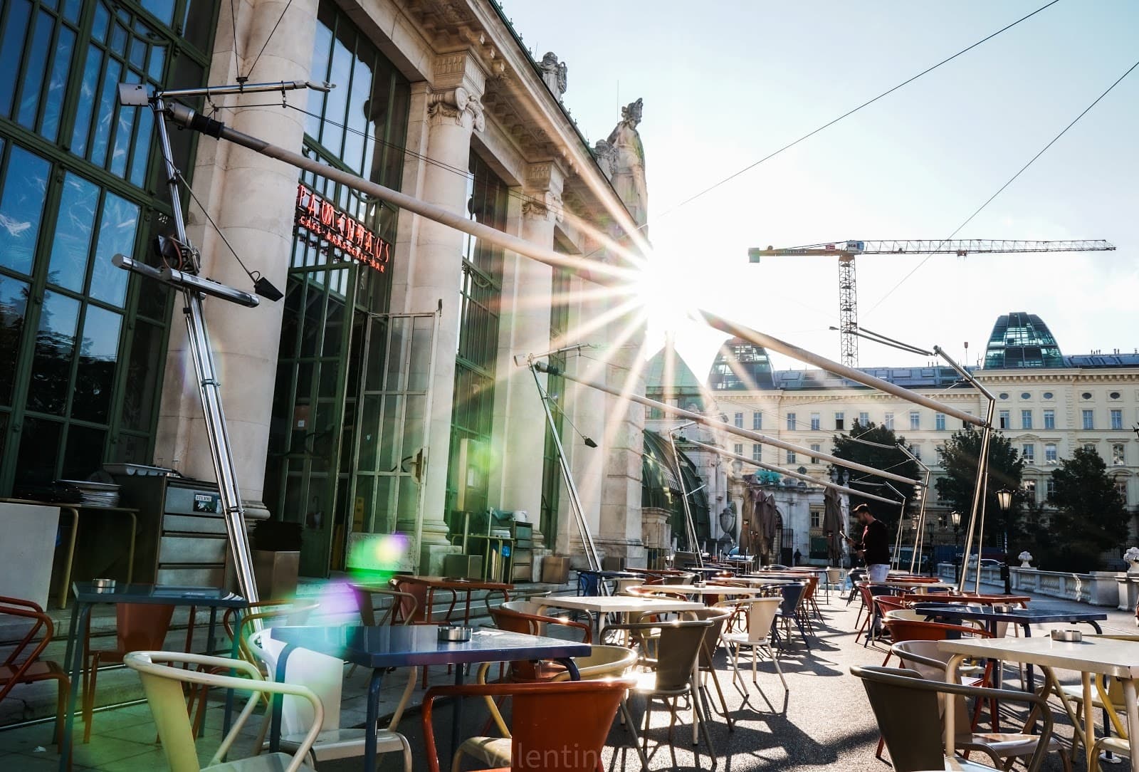 Palmenhaus - Image 1