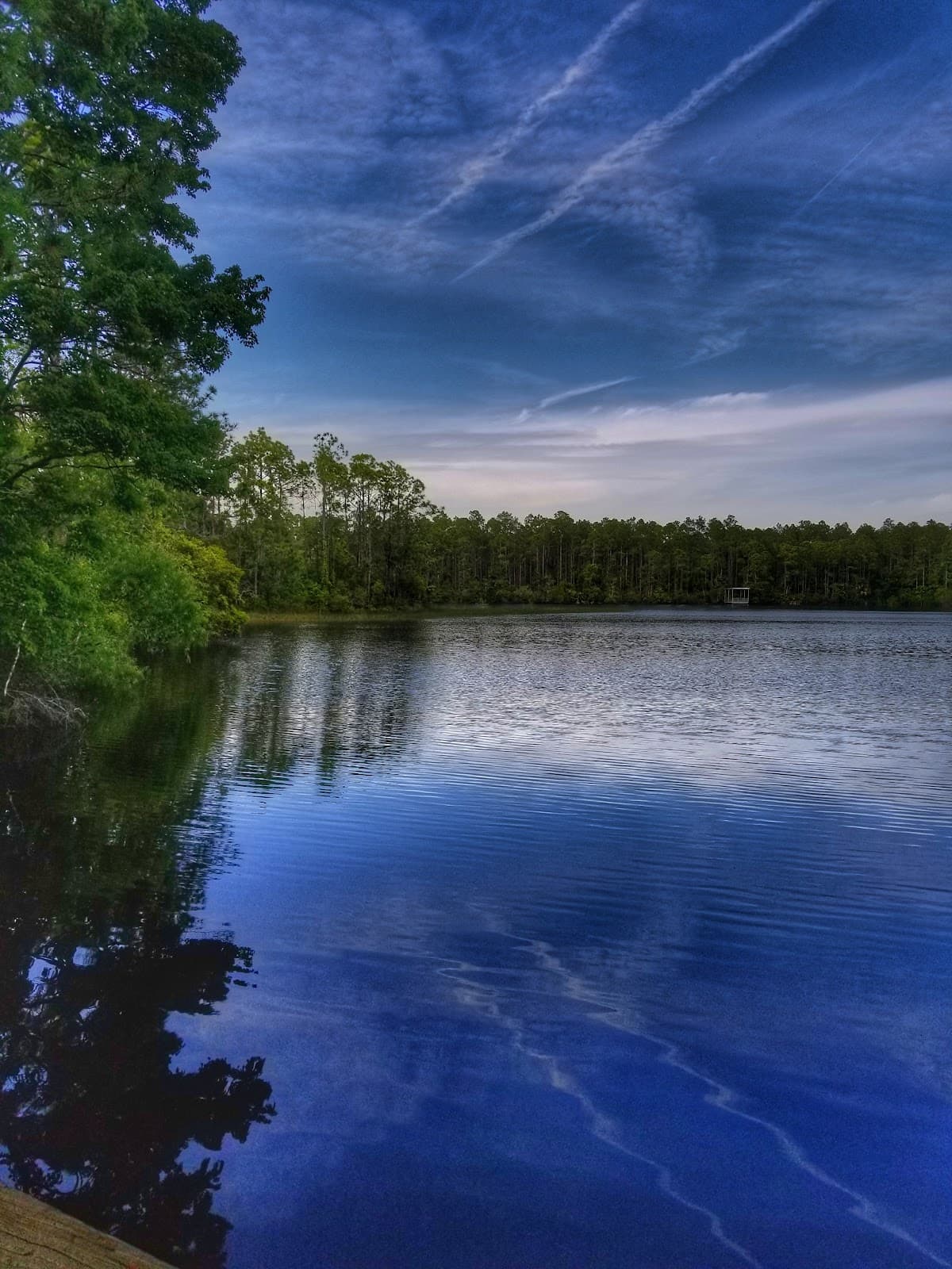 Pellicer Creek Conservation Area - Image 1