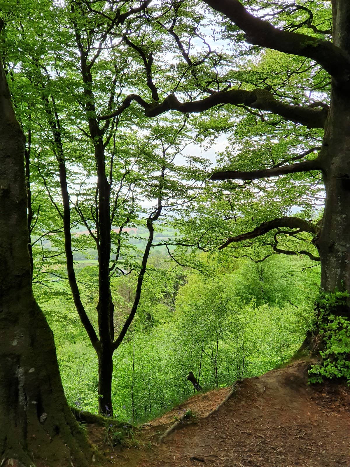 Vertical photo