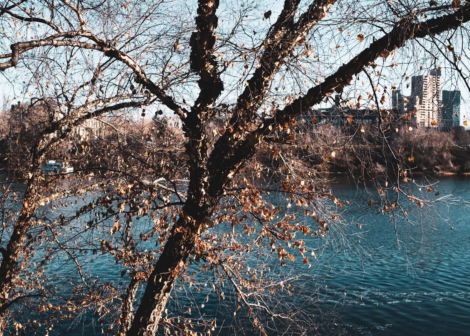 Vertical photo