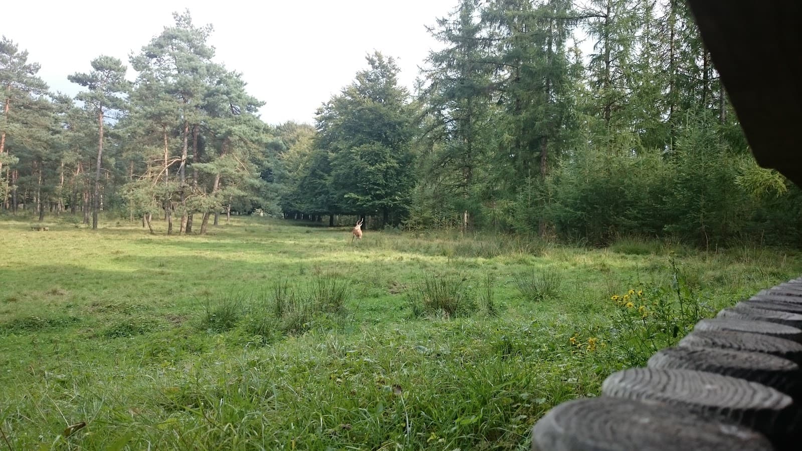 Het Aardhuis - Image 1