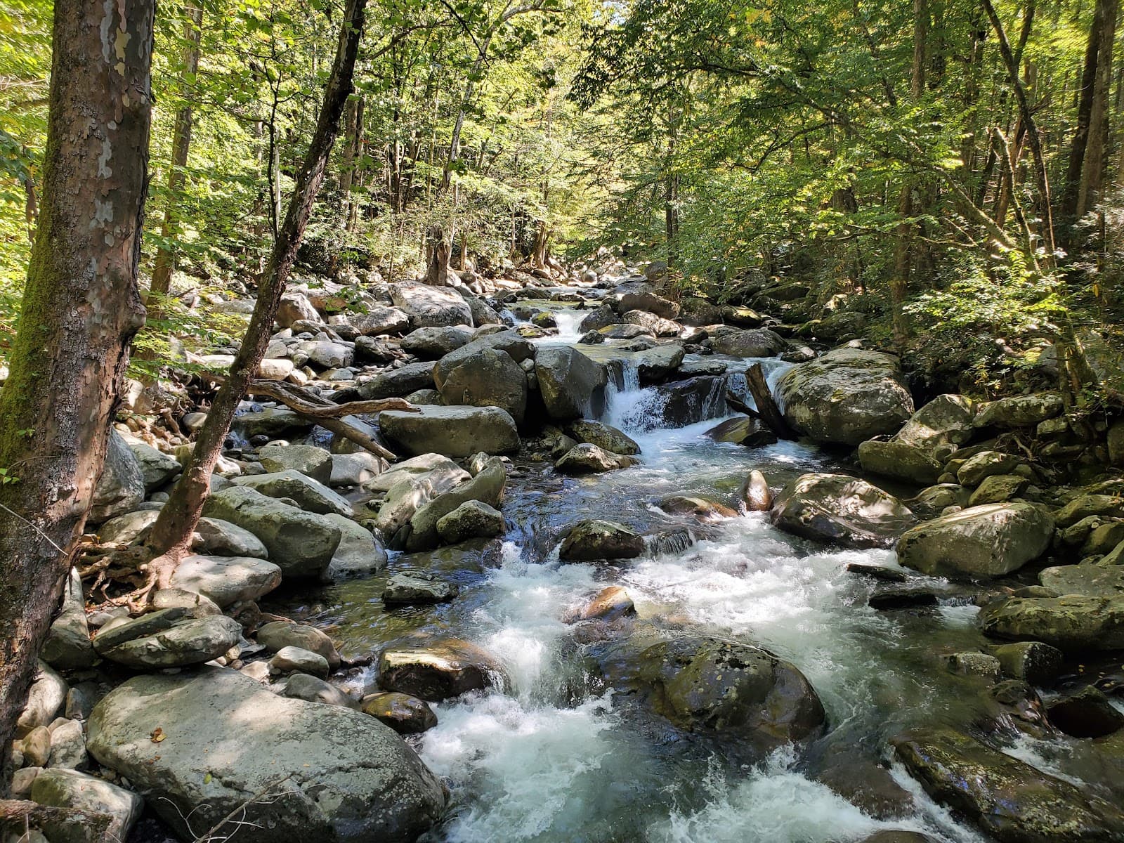 Ramsey Cascades Trail - Image 1
