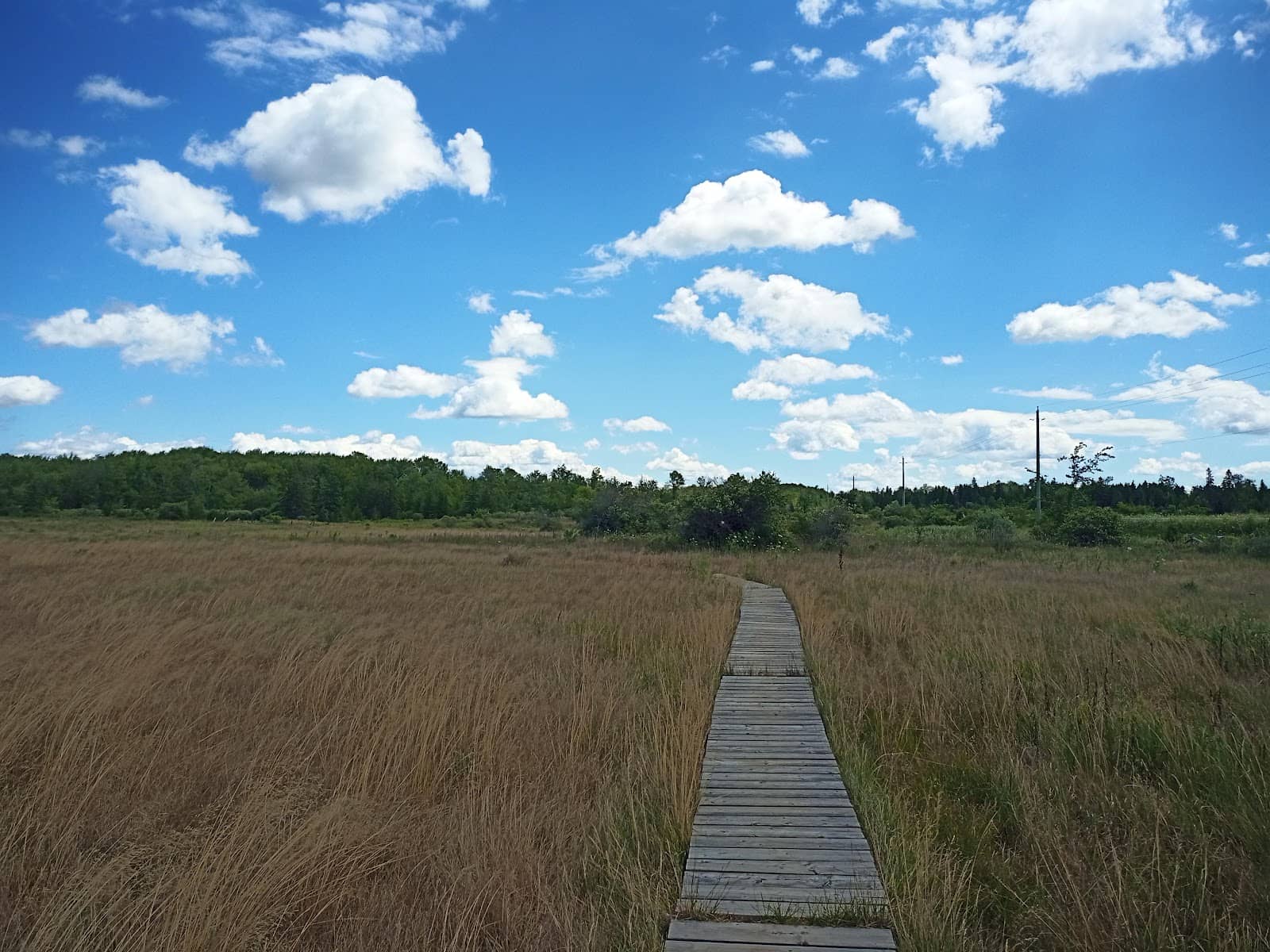 Marsh Boardwalks