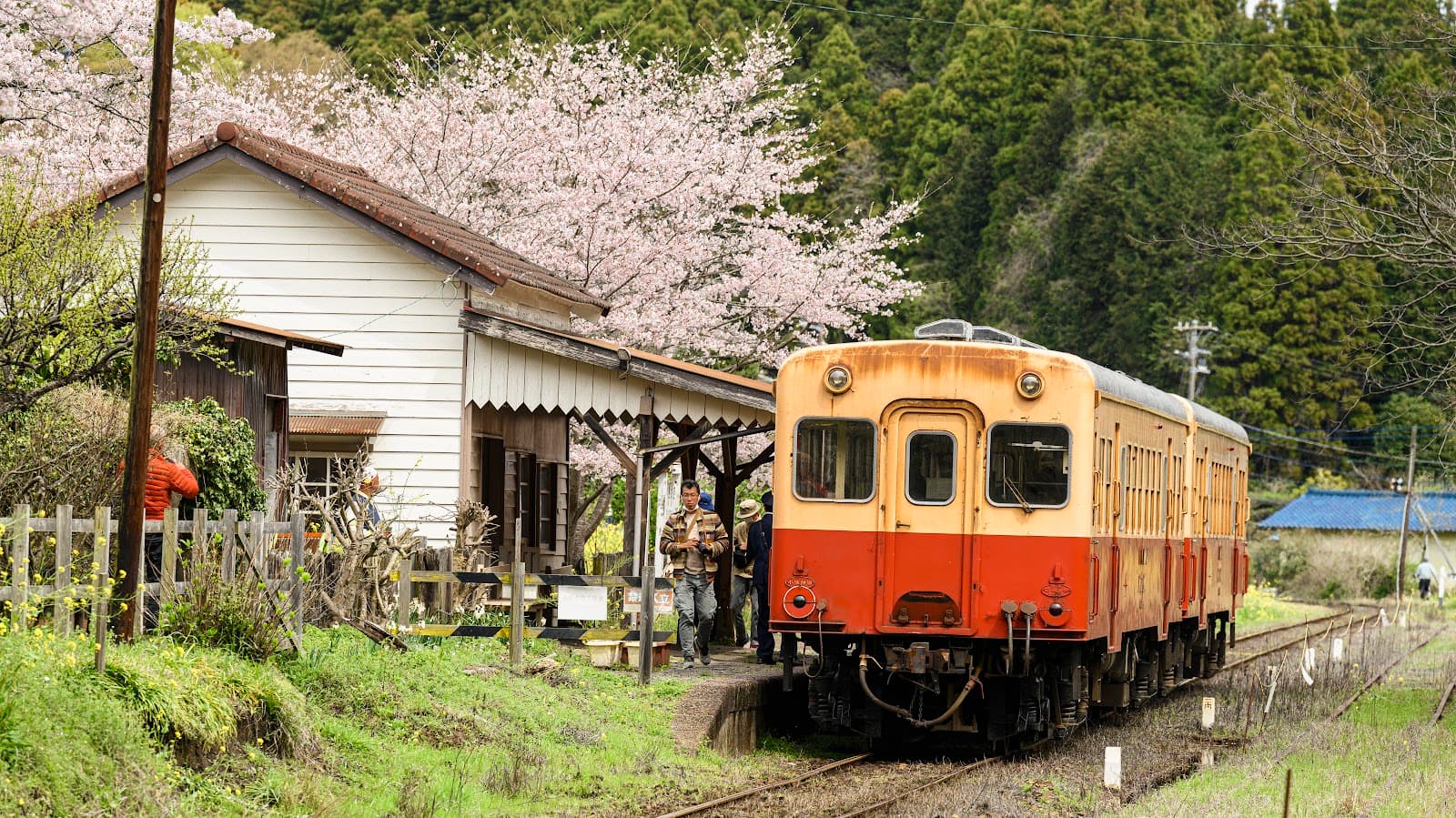 Tsukizaki Station (art field) - Image 1