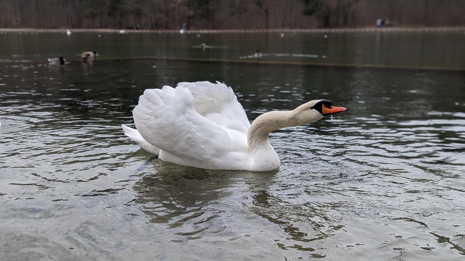 Siebentischwald und Siebentischanlagen - Image 1