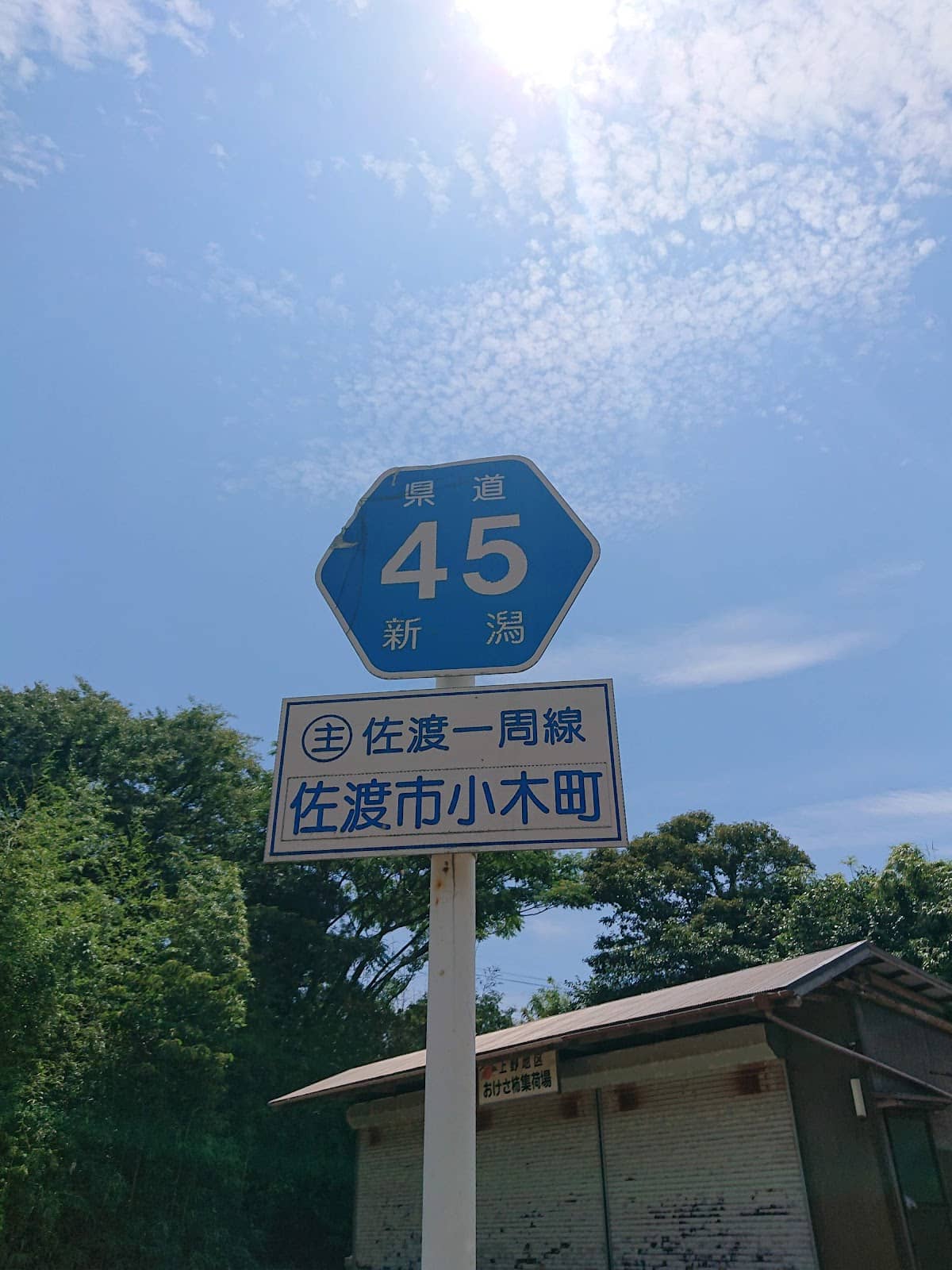 Vertical photo