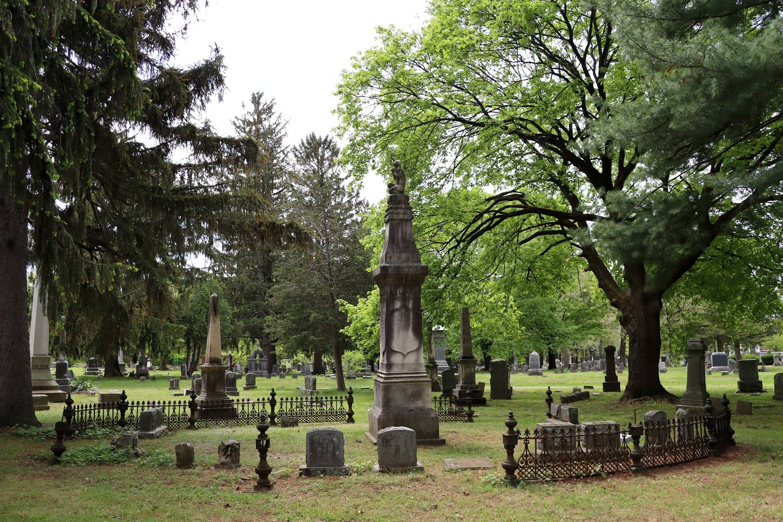 Lilac Bushes & Tall Monuments