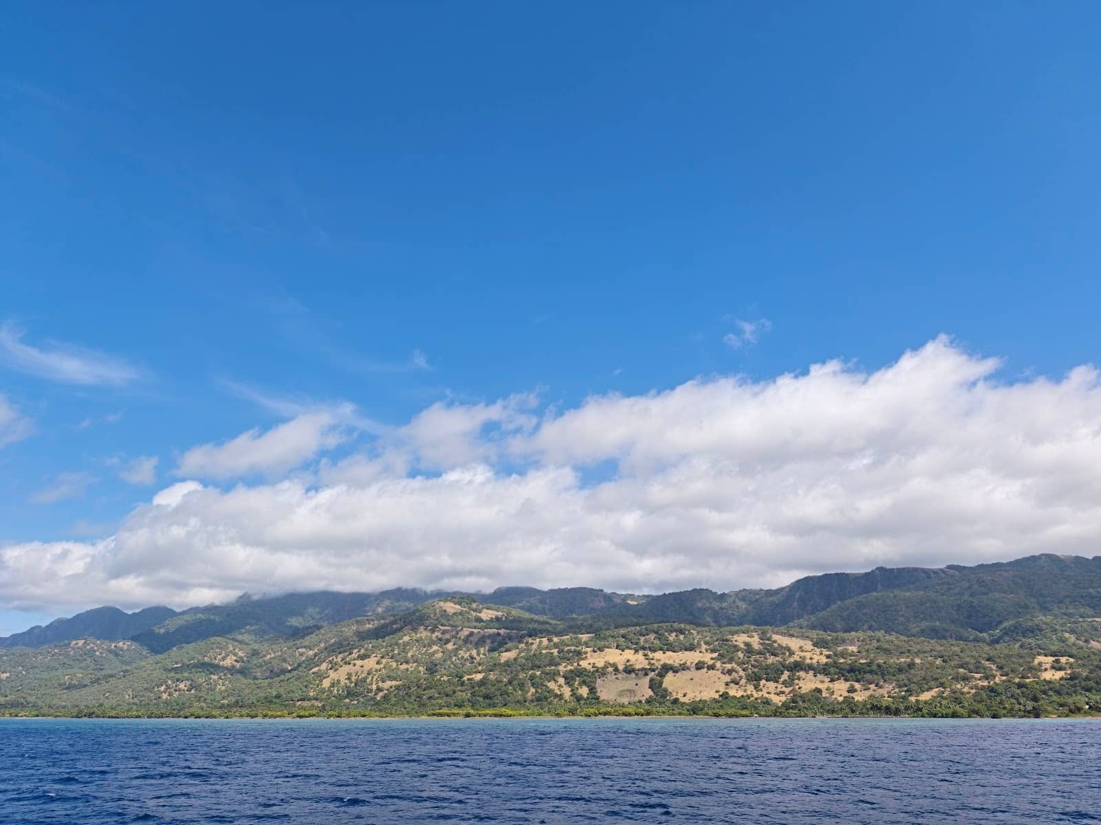 Lush Interior Hiking Trails