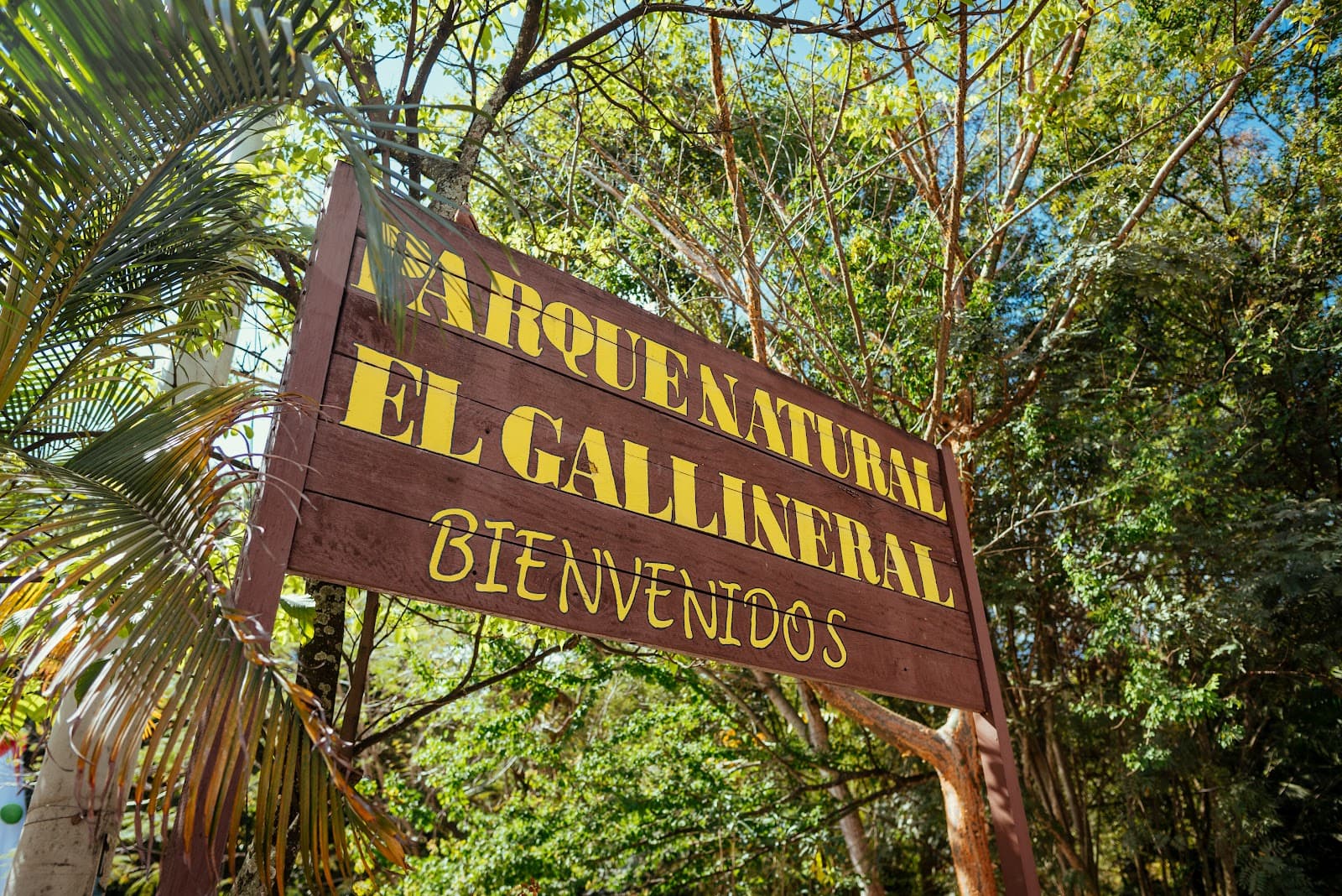 Parque El Gallineral - Image 1