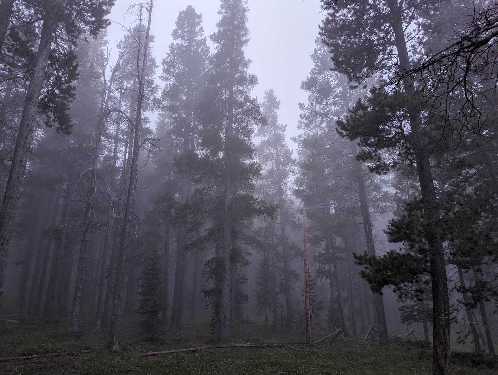 Beartrap Meadow County Park - Image 1