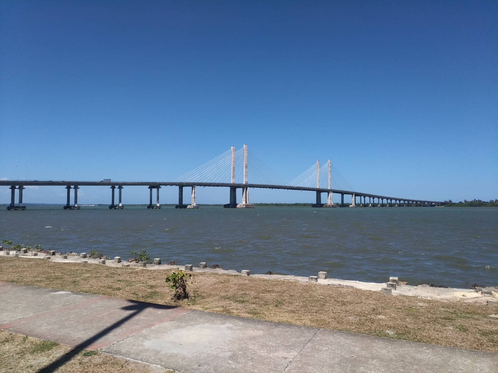Vertical photo