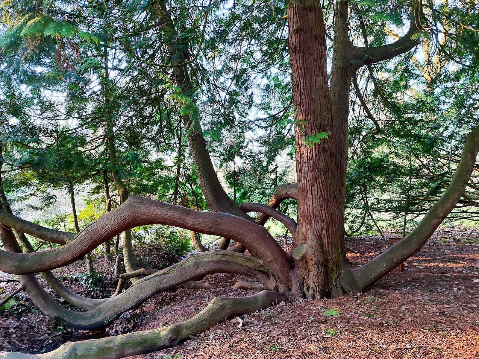 Arboretum Poort-Bulten - Image 1