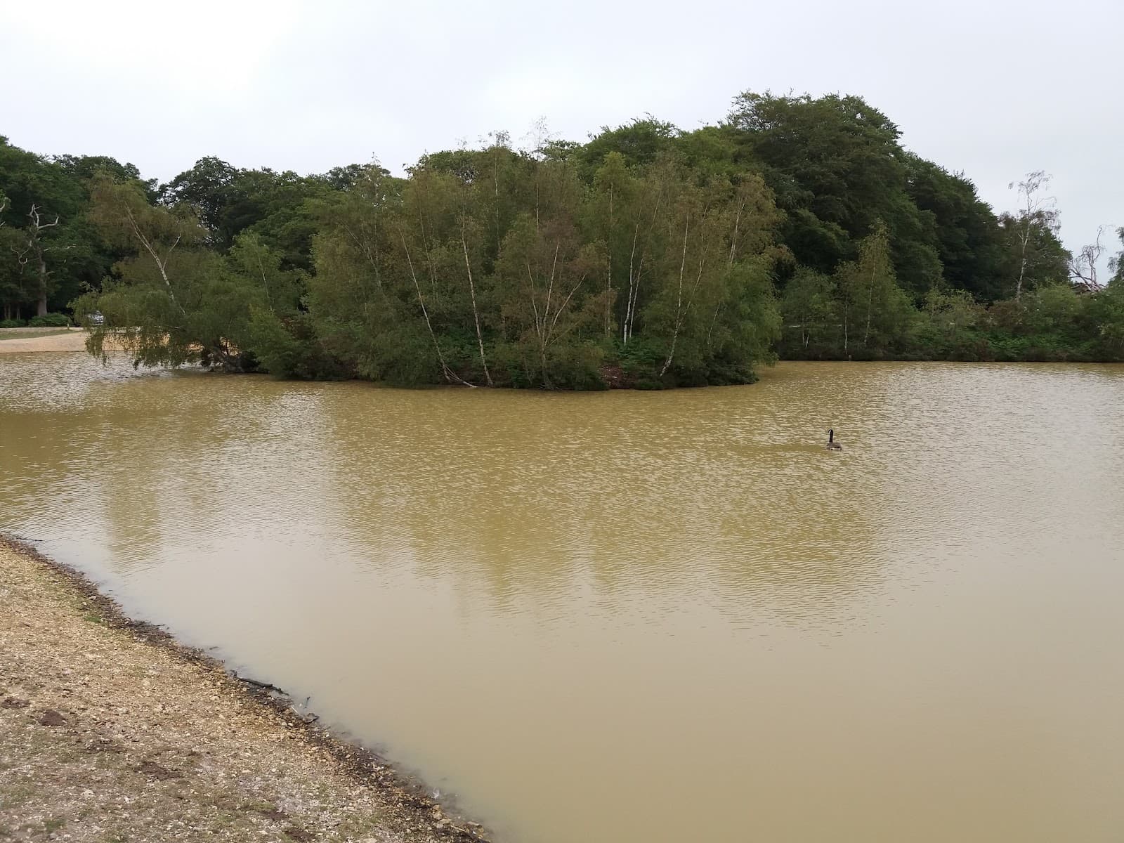 Cadman's Pool - Image 1