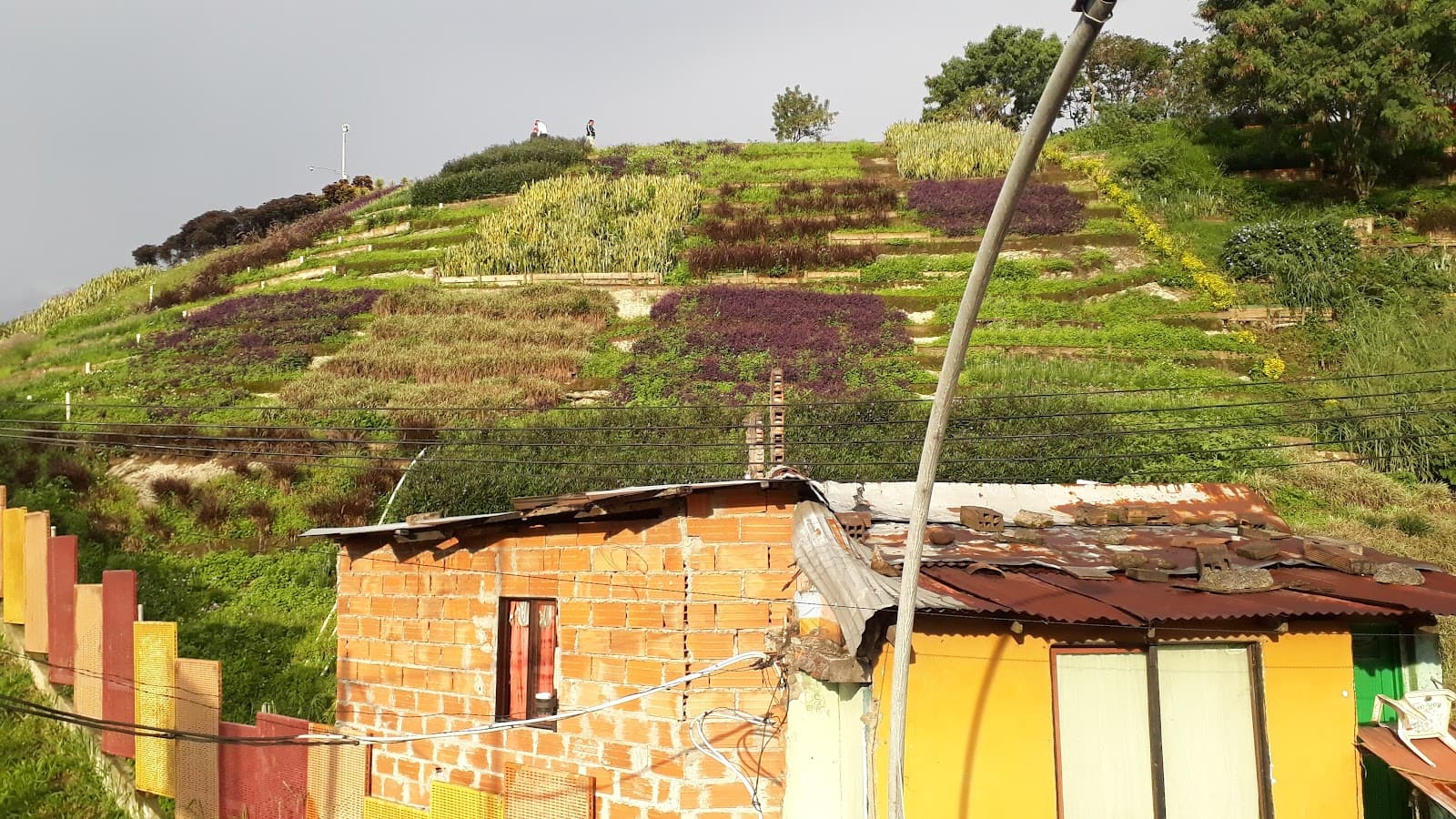 Jardín Moravia - Image 1