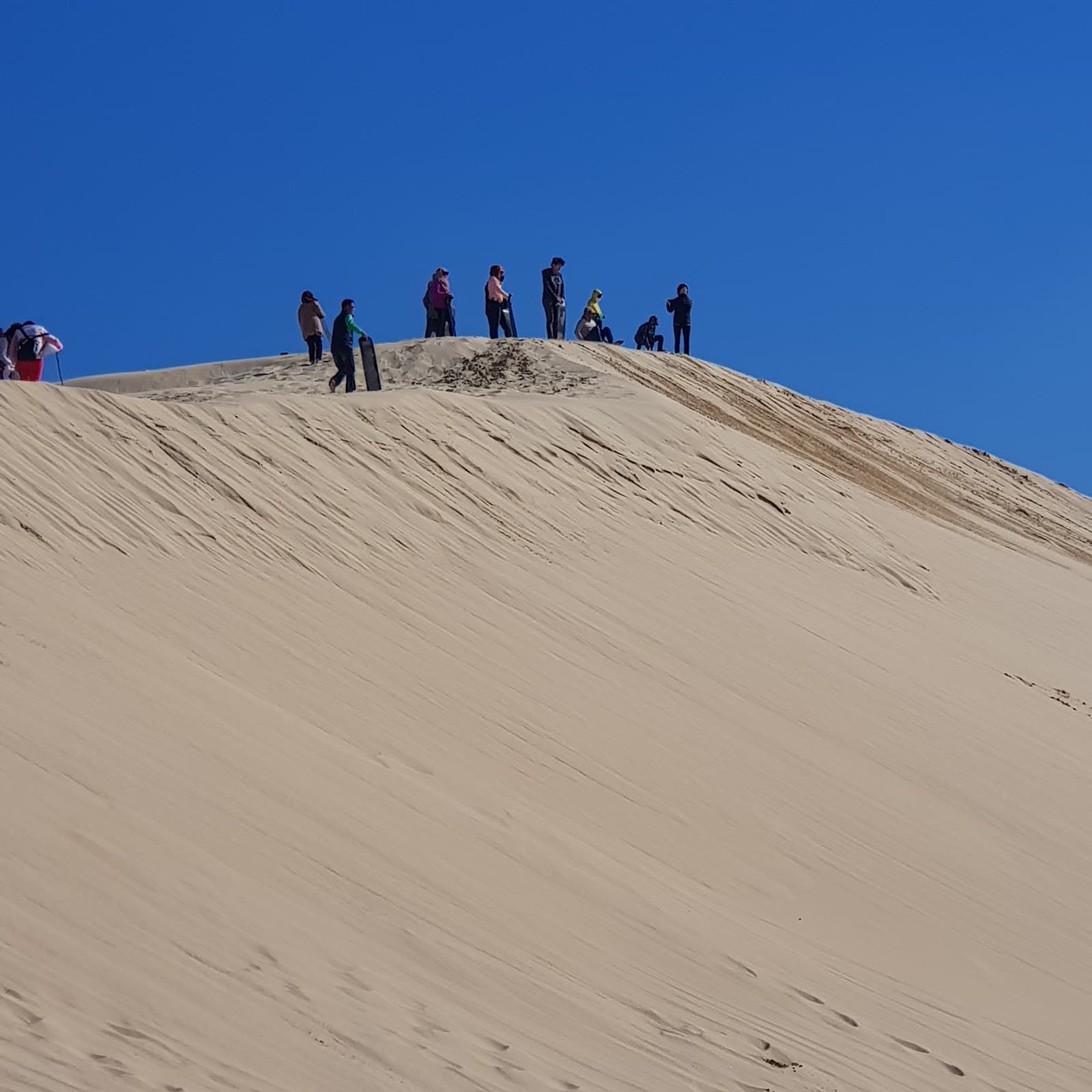 Anna Bay Sand Dunes - Image 1