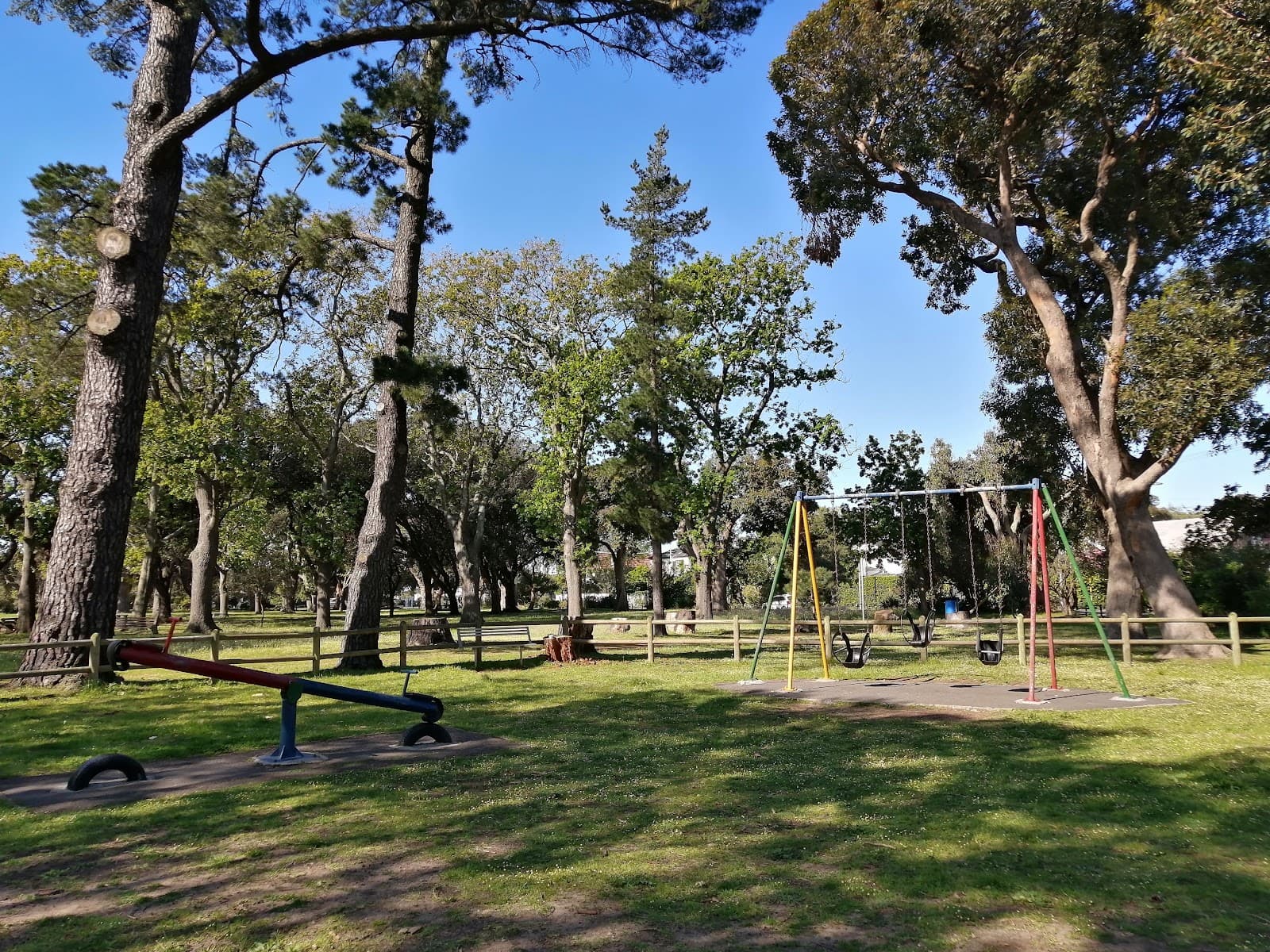 Rondebosch Park Market - Image 1
