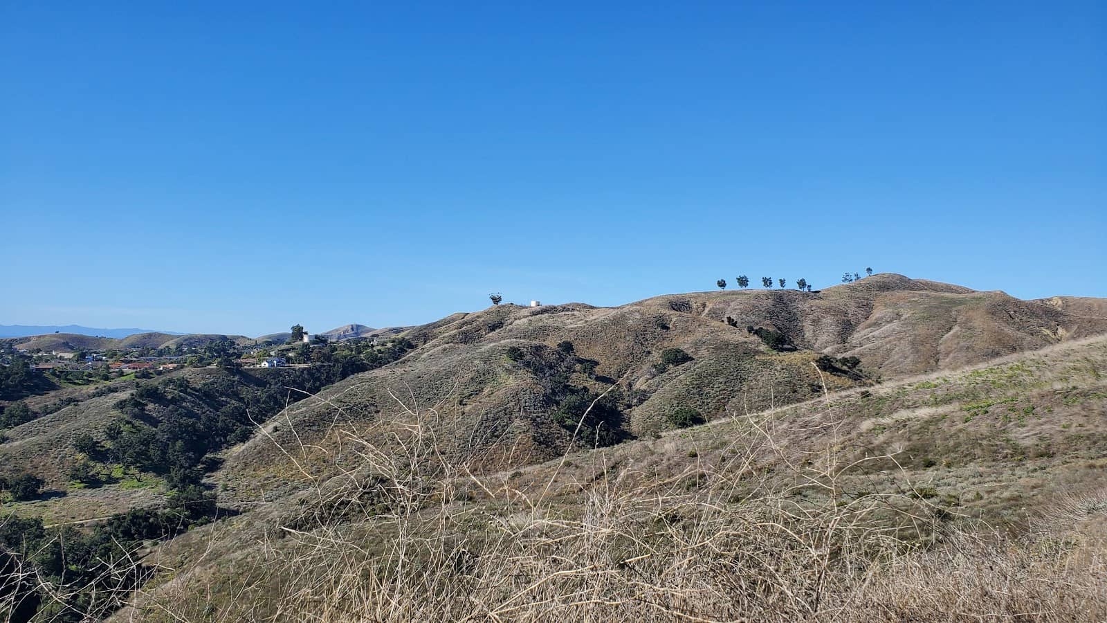 Diverse Habitats