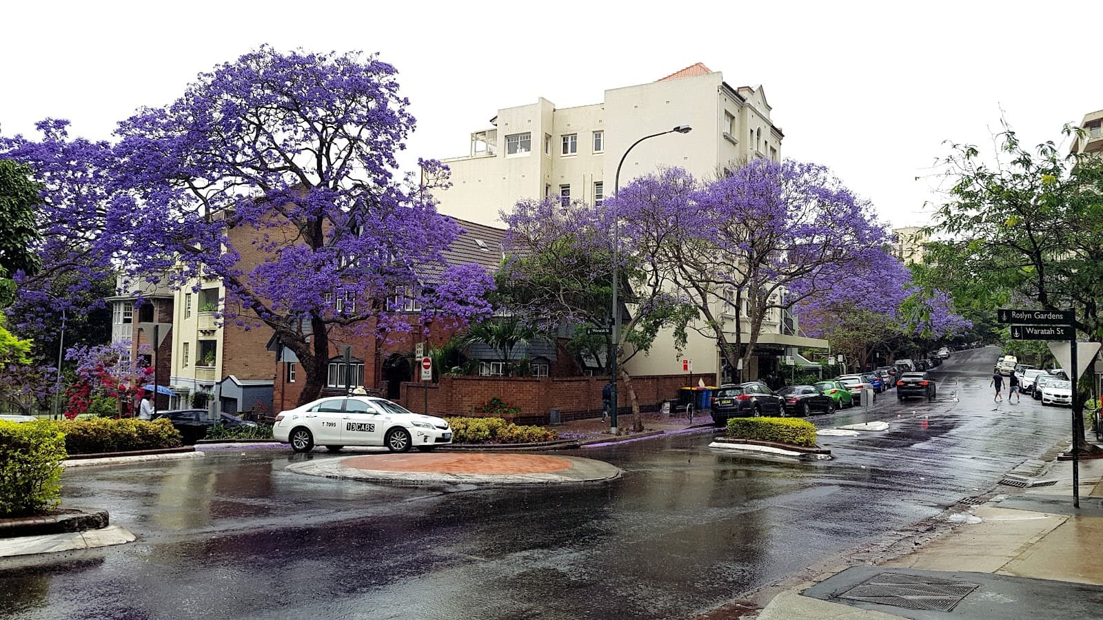 Elizabeth Bay - Image 1