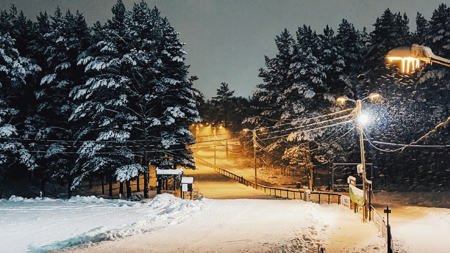 Äkkeküla Health Trails - Image 1