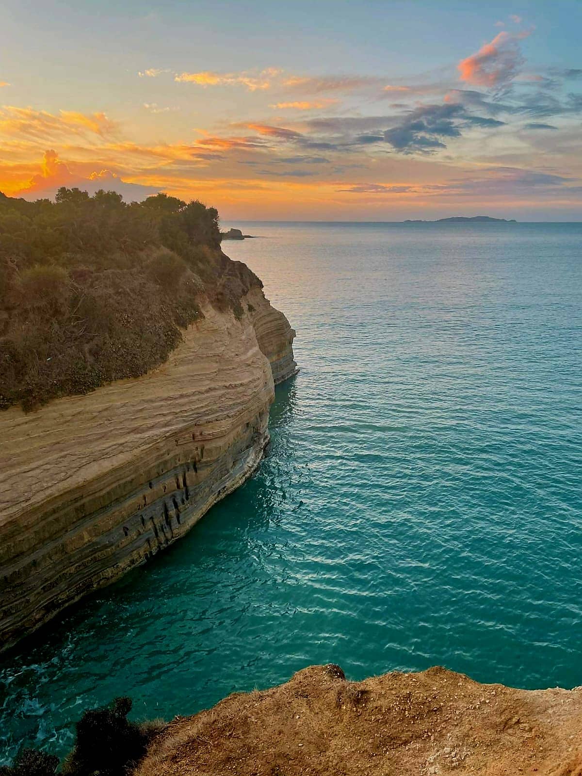 Vertical photo