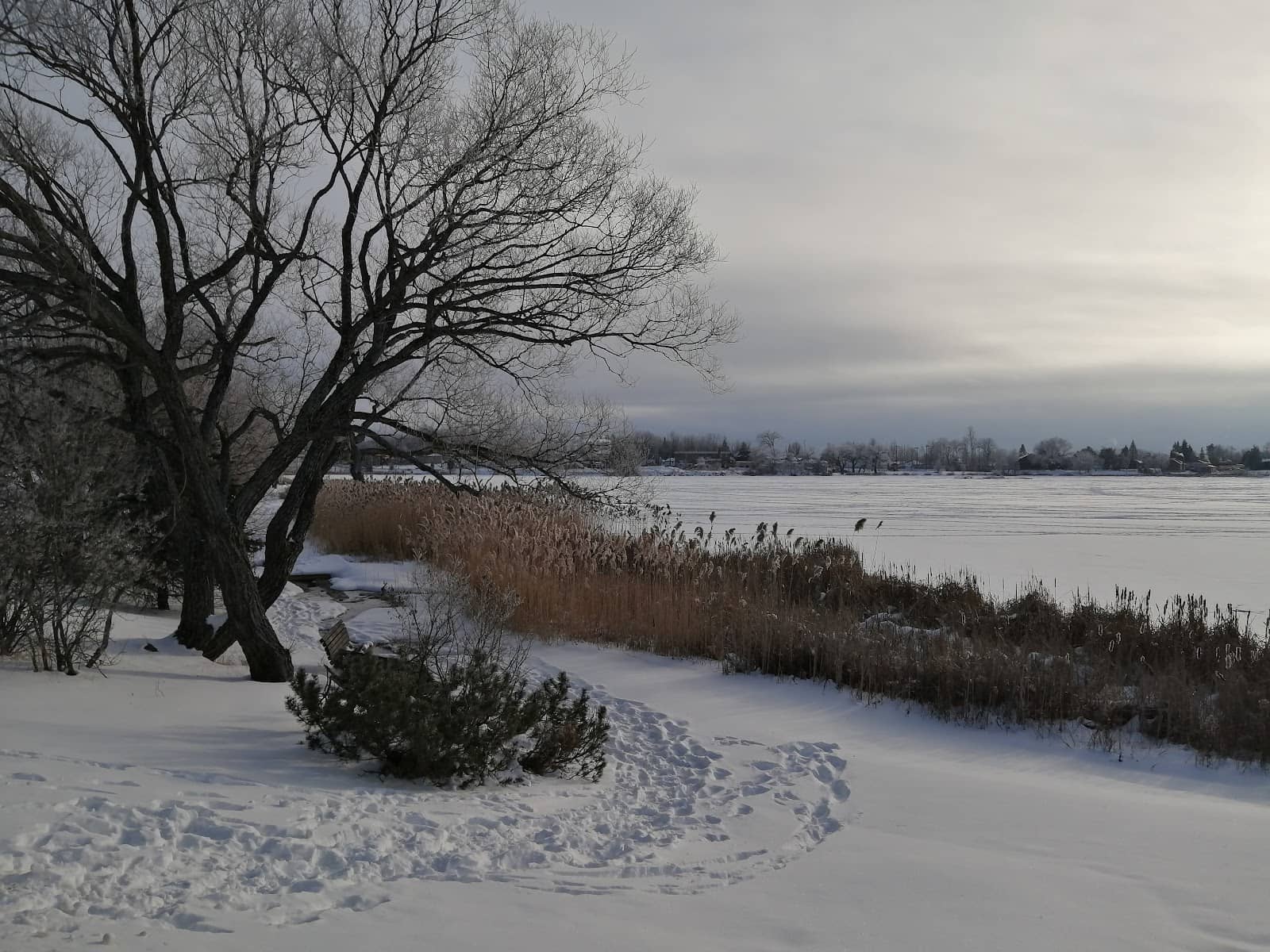 Proximity to Nature Trails