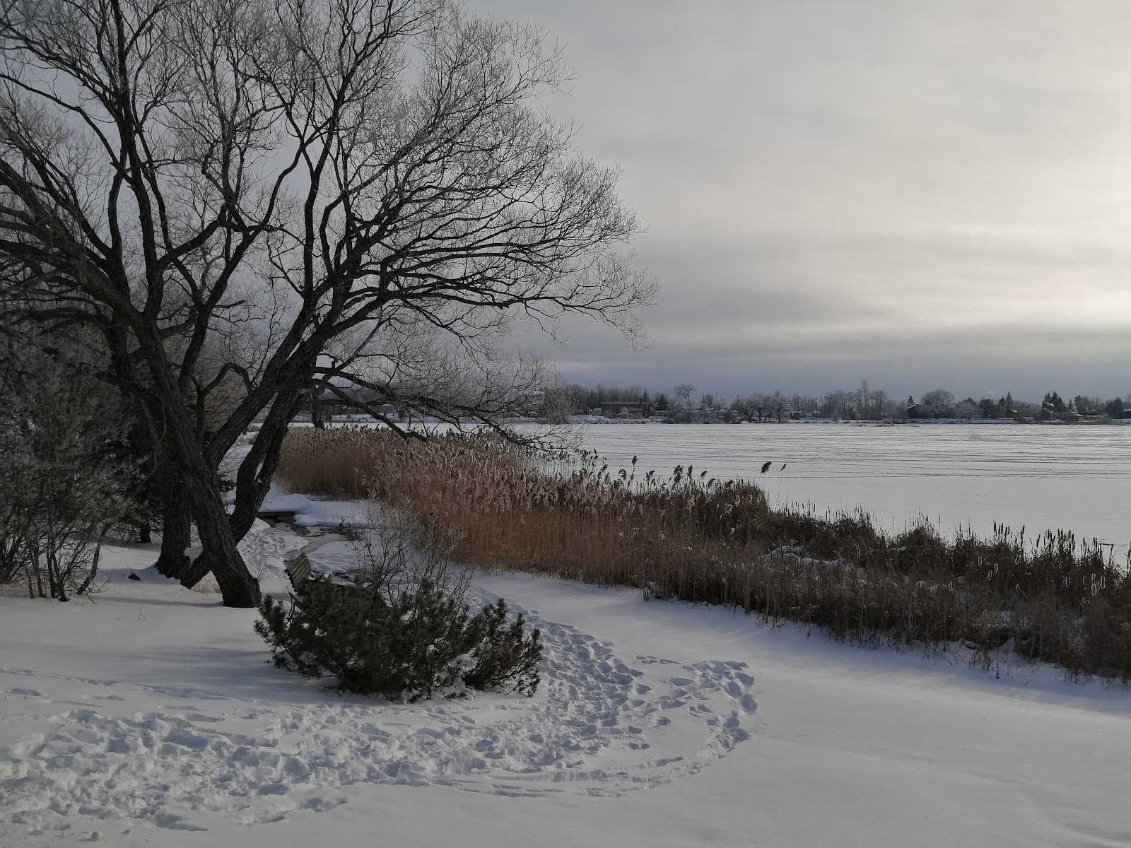 Minnow Lake - Image 1