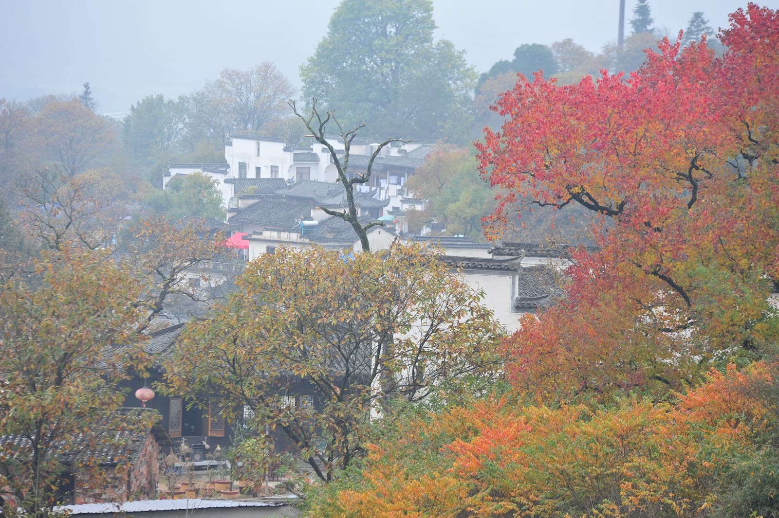 Tachuan Scenic Area - Image 1