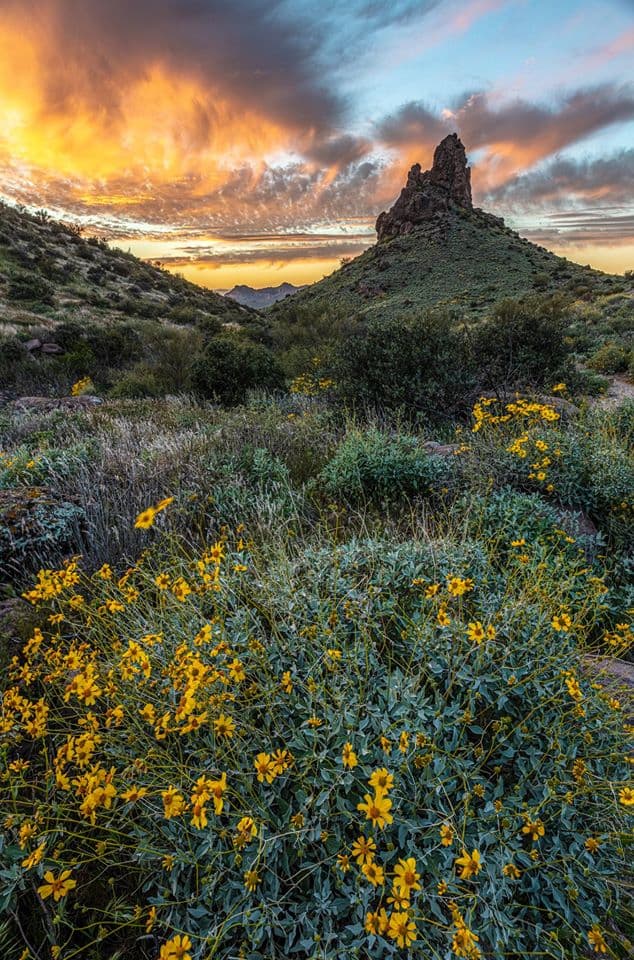 Massacre Grounds Trail - Image 1