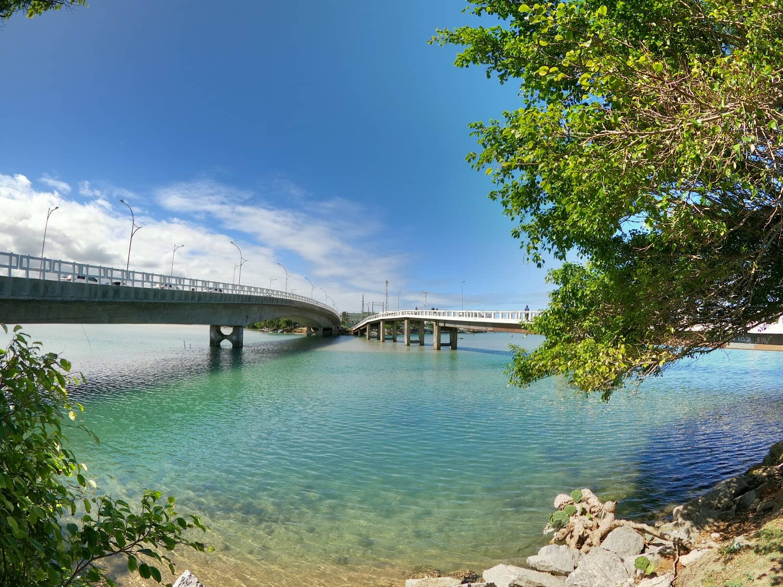 Local Life Observation