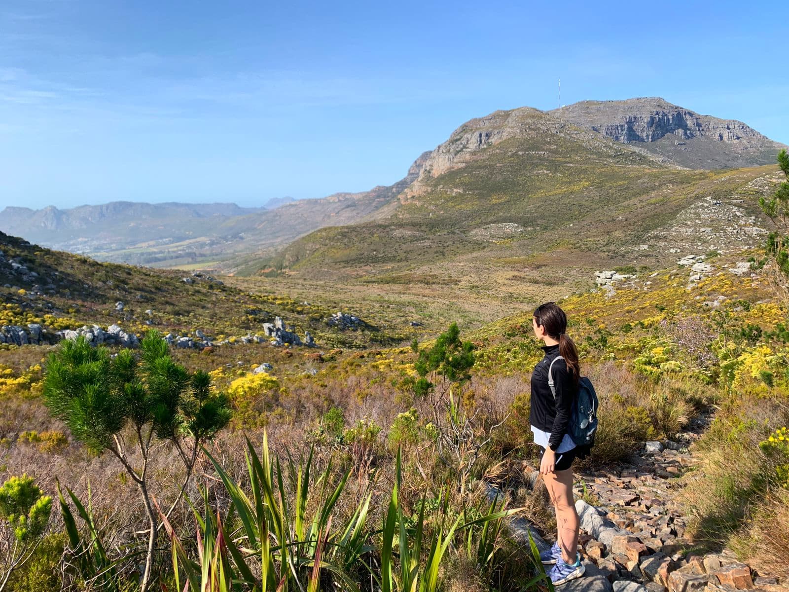 Vlakkenberg Trail - Image 1