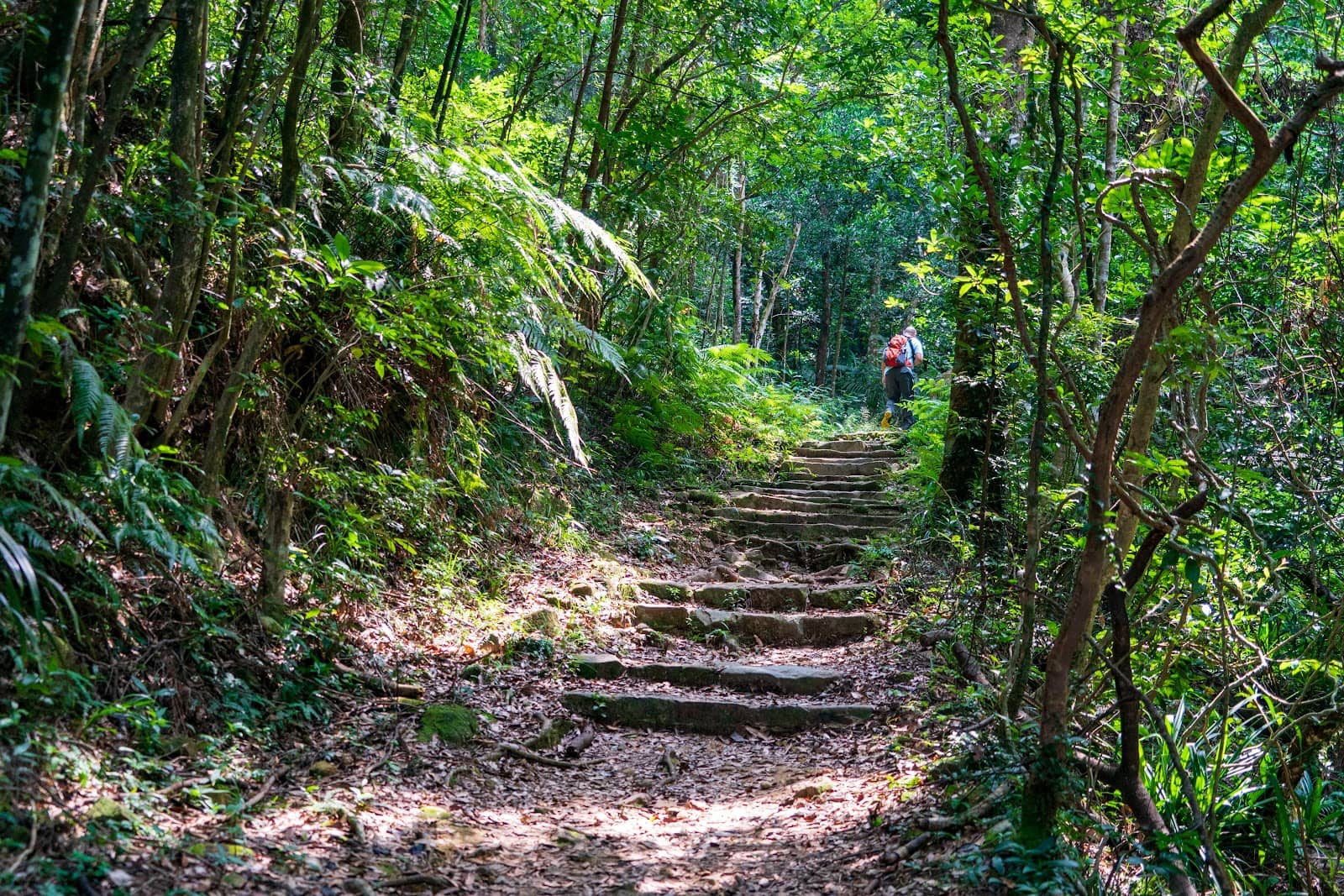 Nature Education Trail
