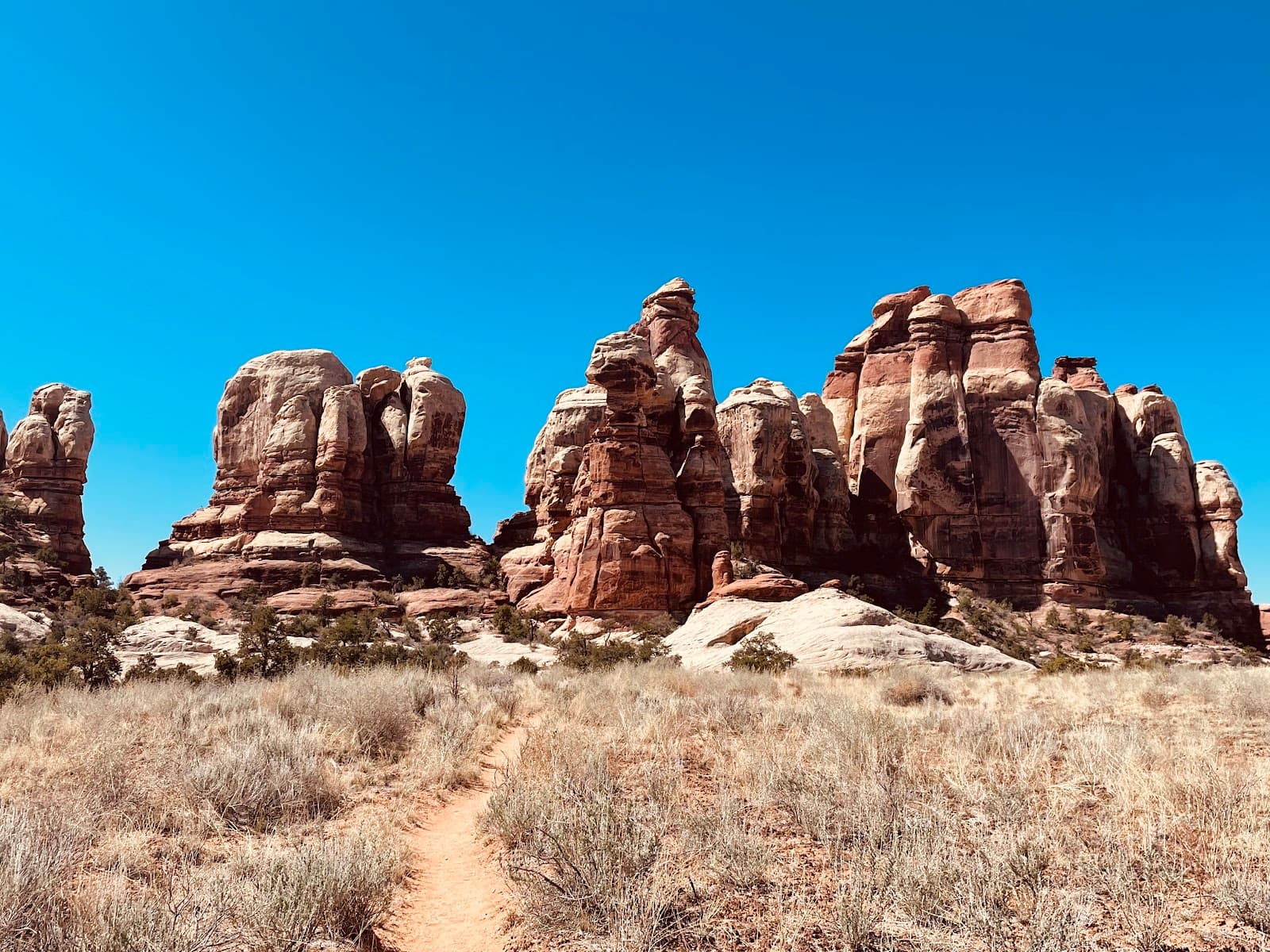 Canyonlands National Park The Needles - Image 1