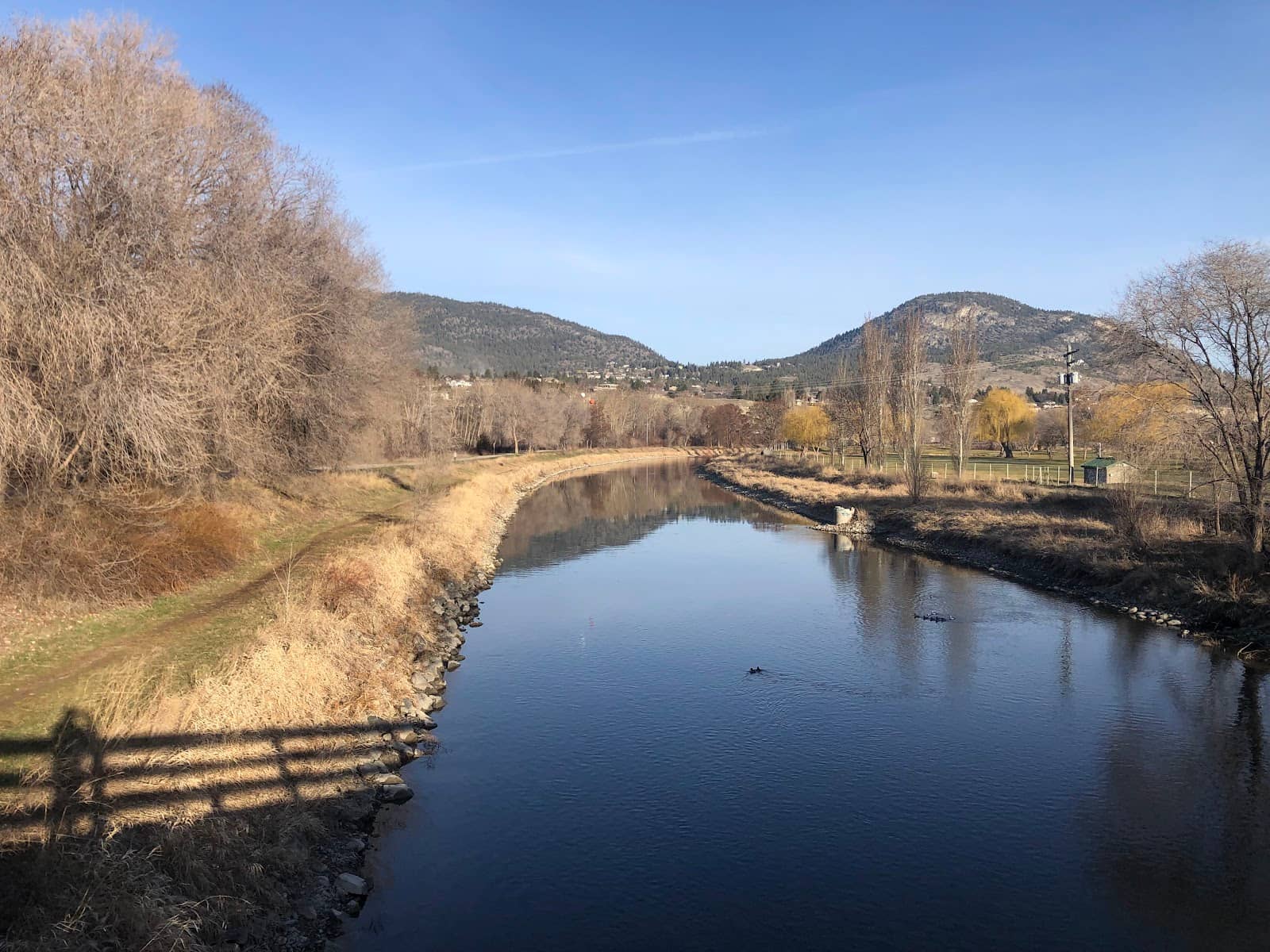 Okanagan Lake Views
