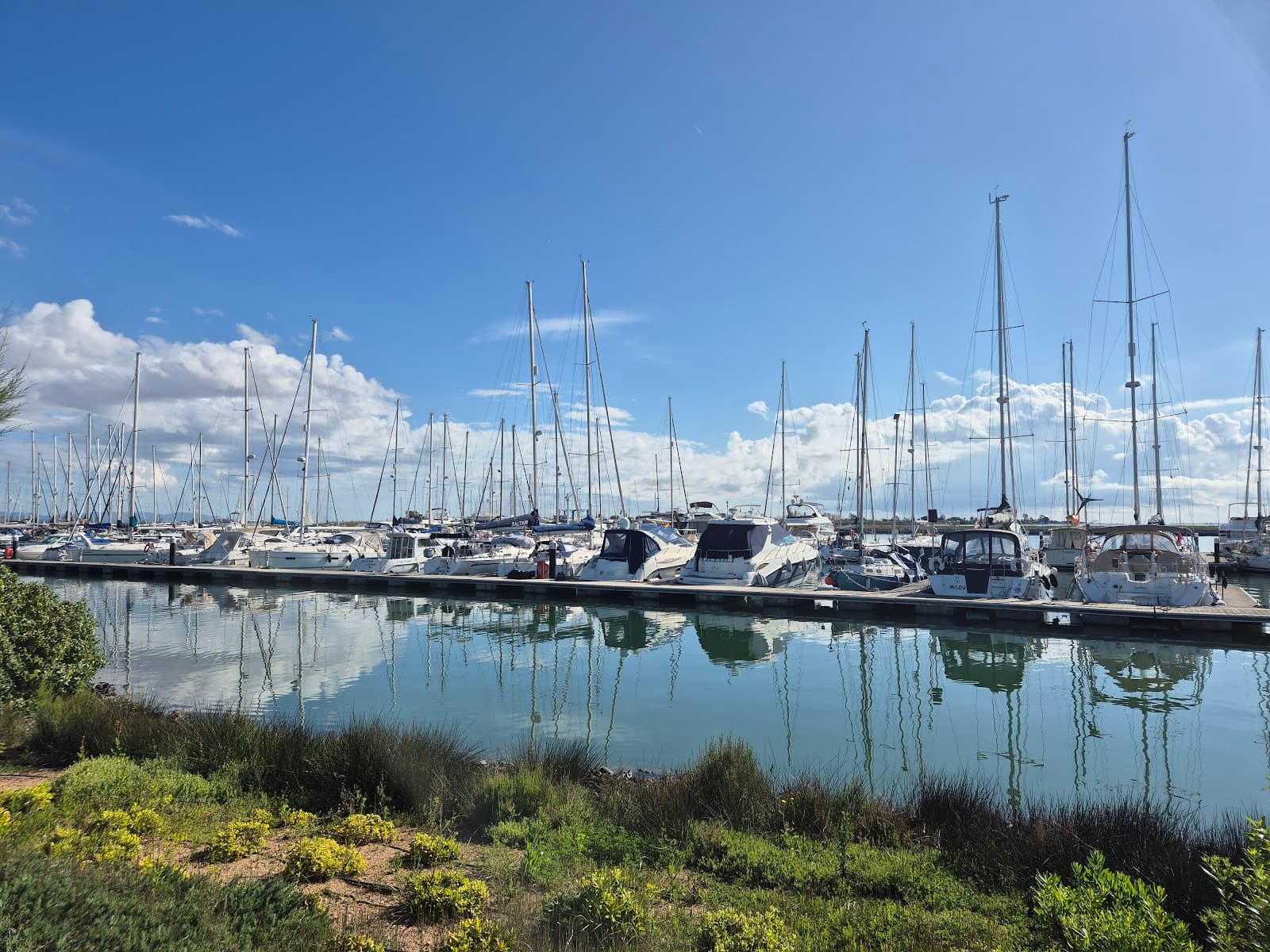 Marina Sant Carles - Image 1