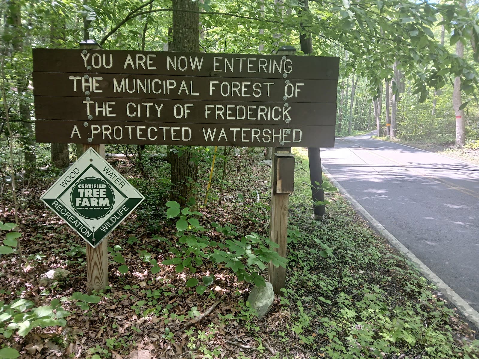 Frederick Municipal Forest Watershed - Image 1
