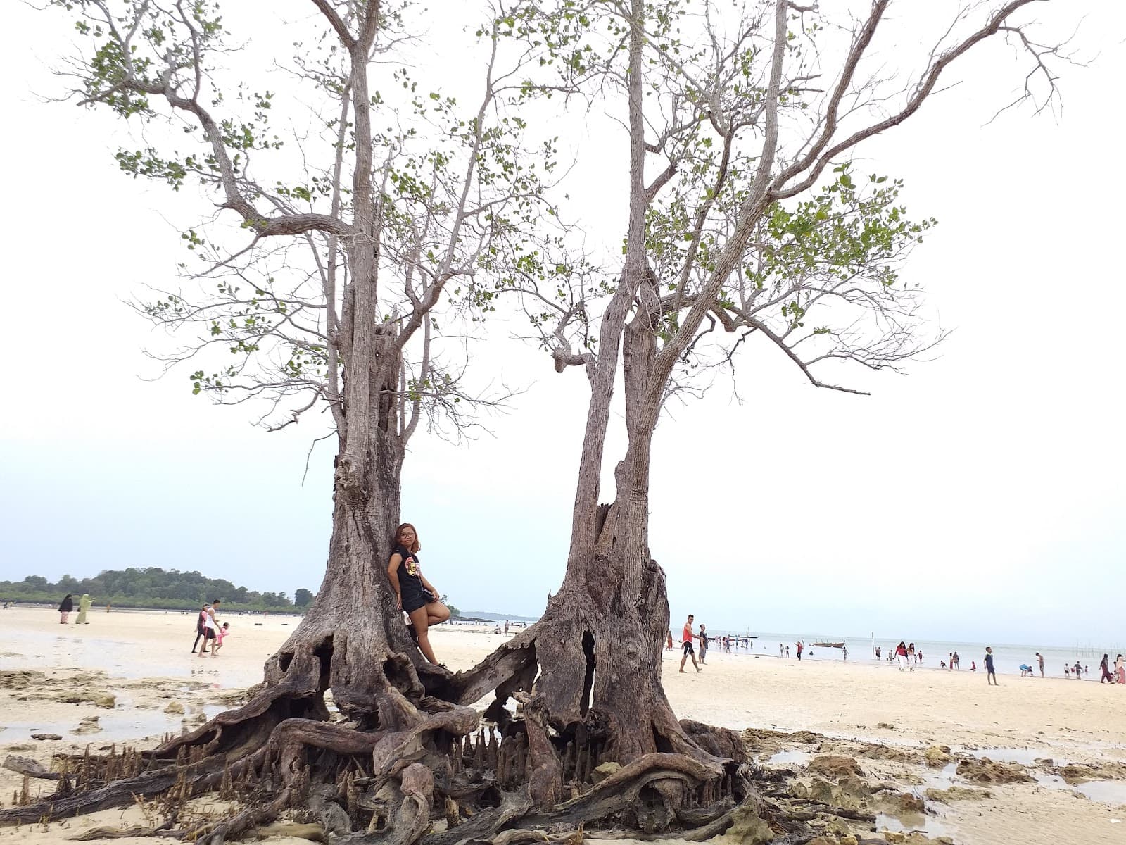 Elyora Beach - Image 1