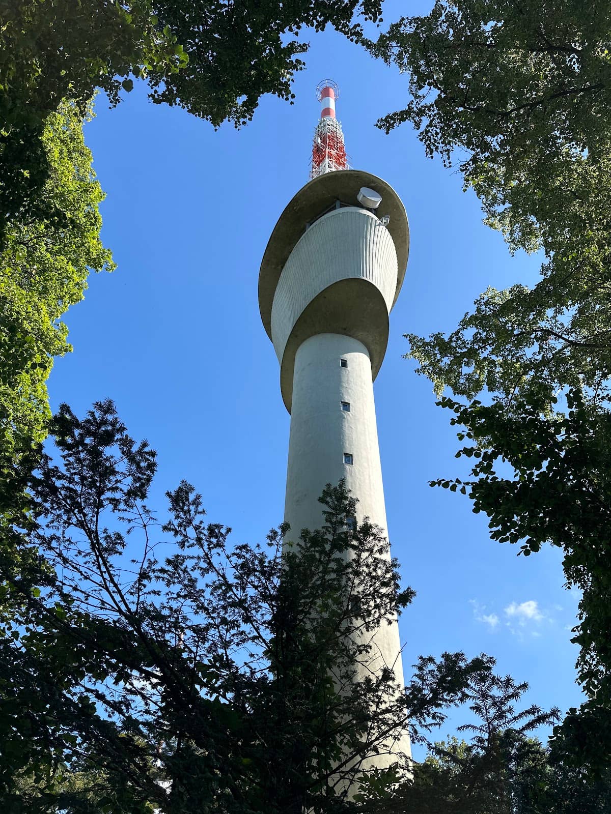 Vertical photo