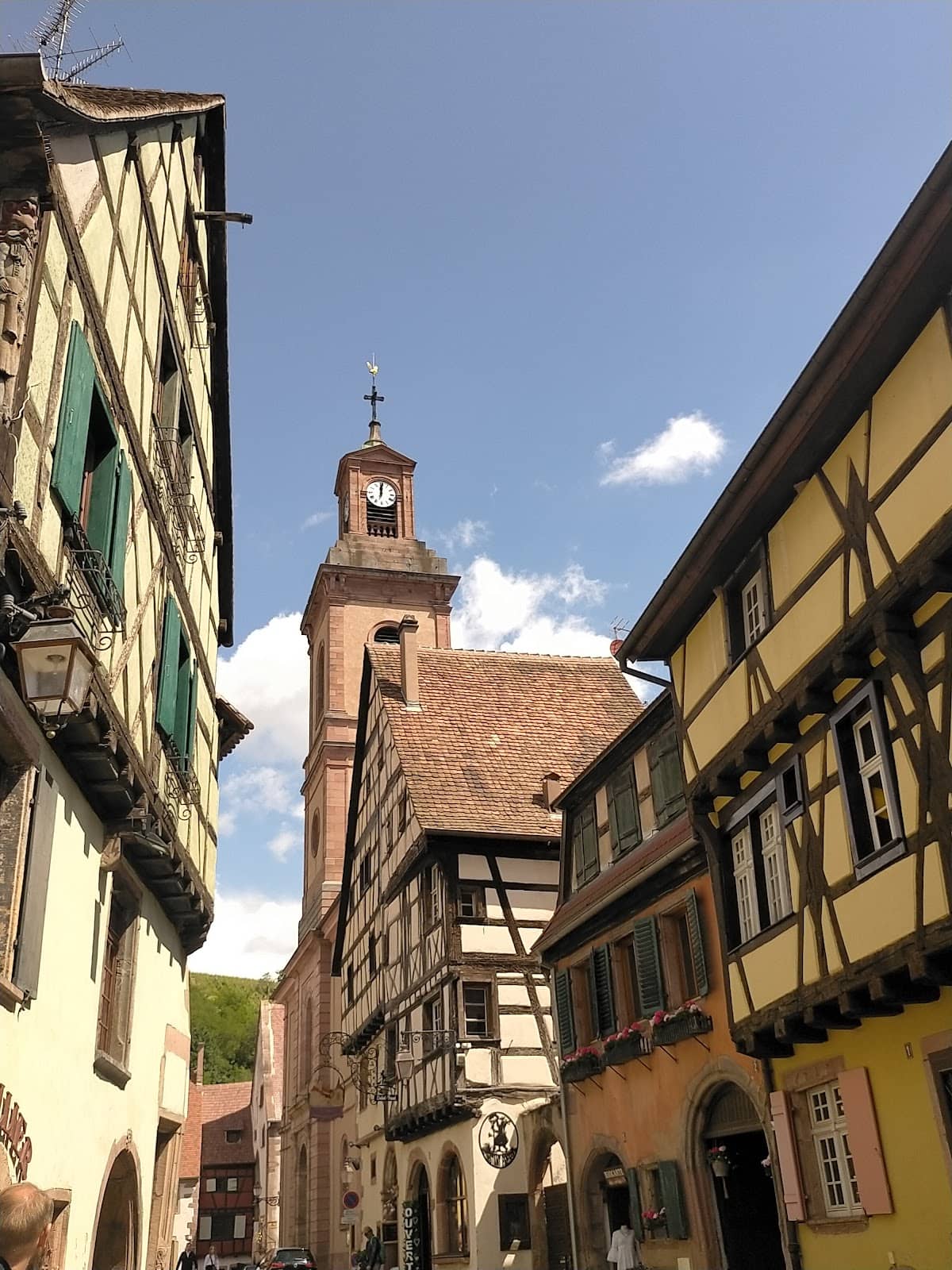 Vertical photo