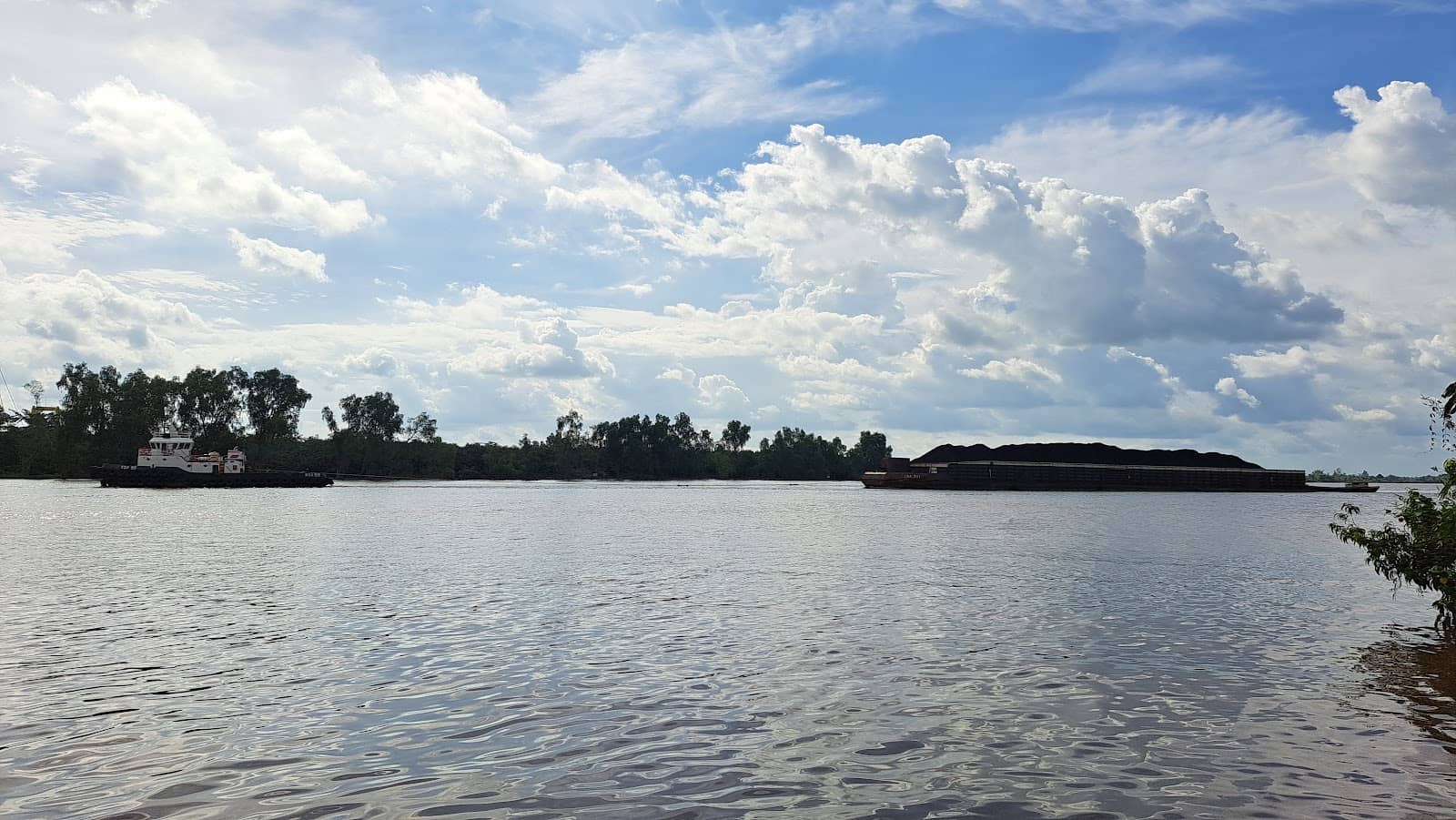 Riverine Vistas