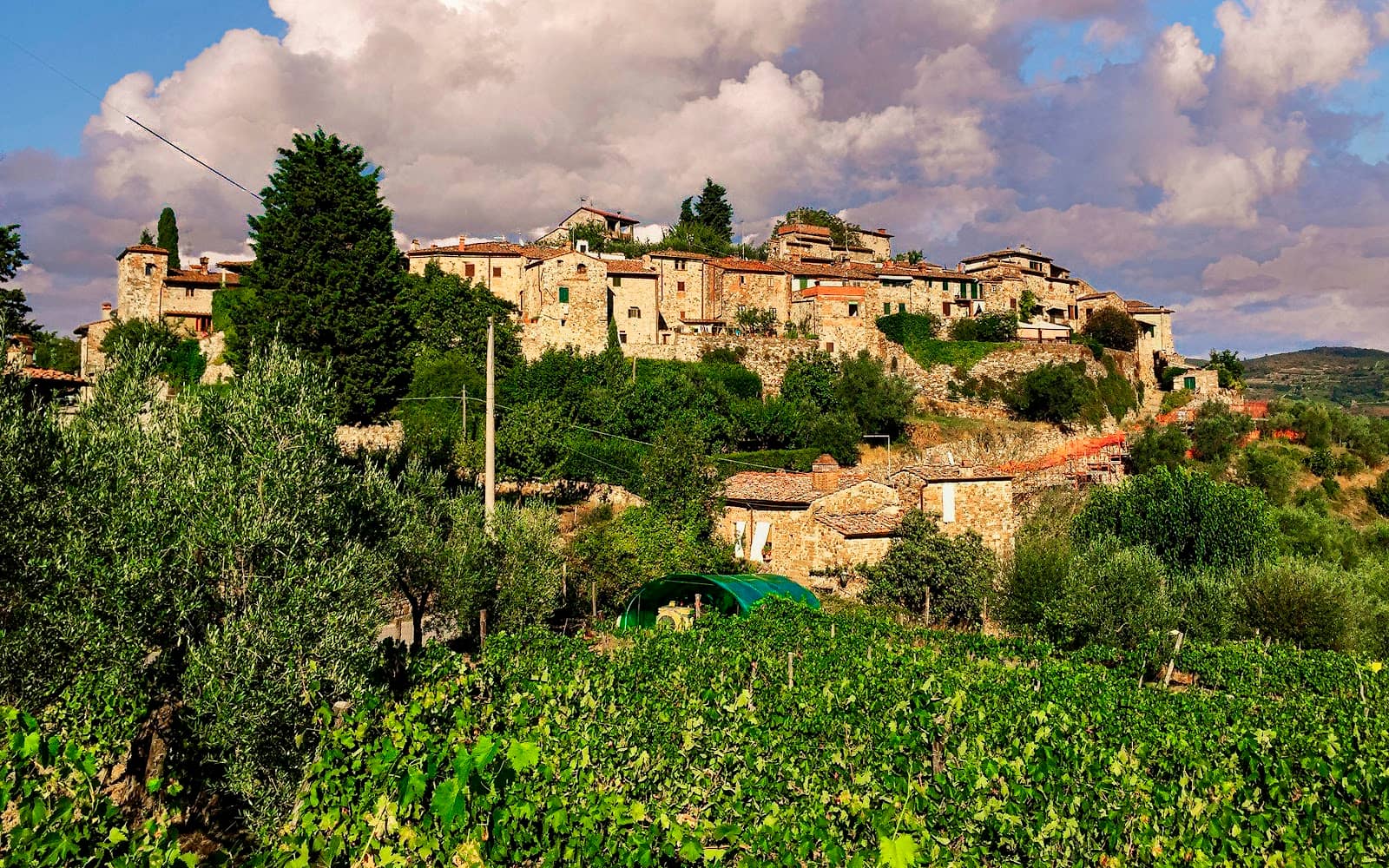 Local Chianti Wine
