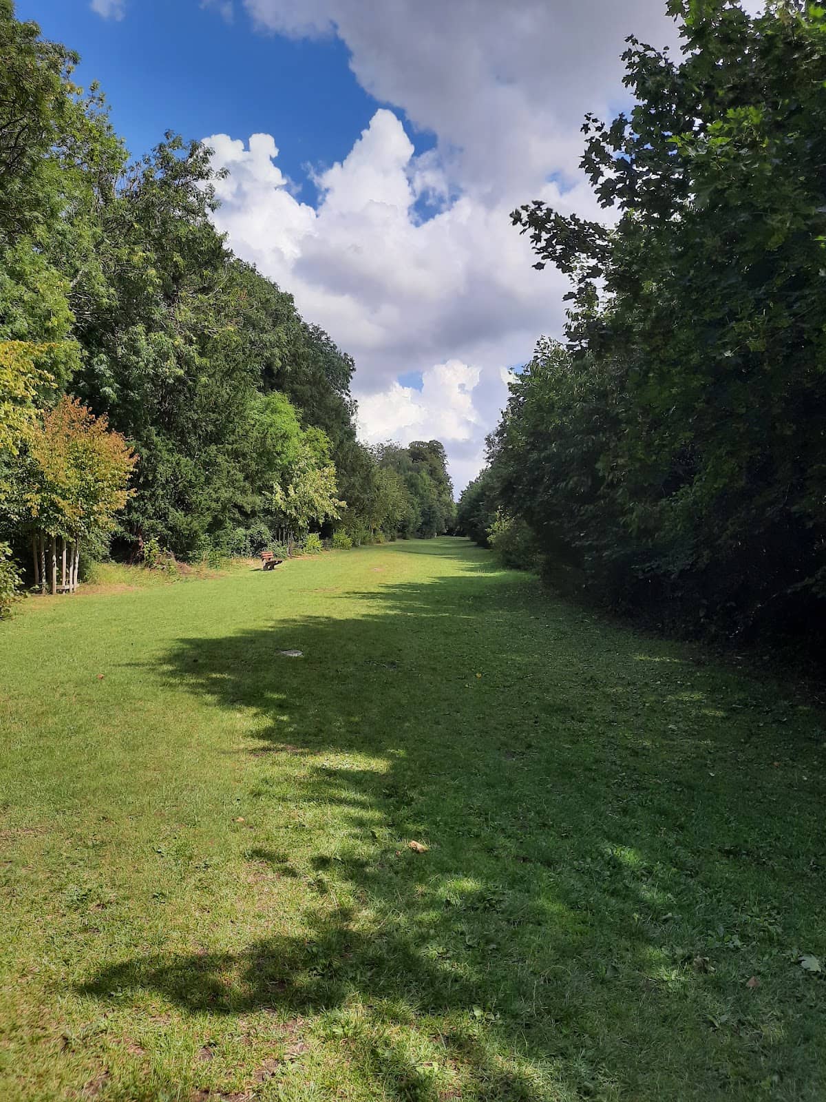 Children's Play Area